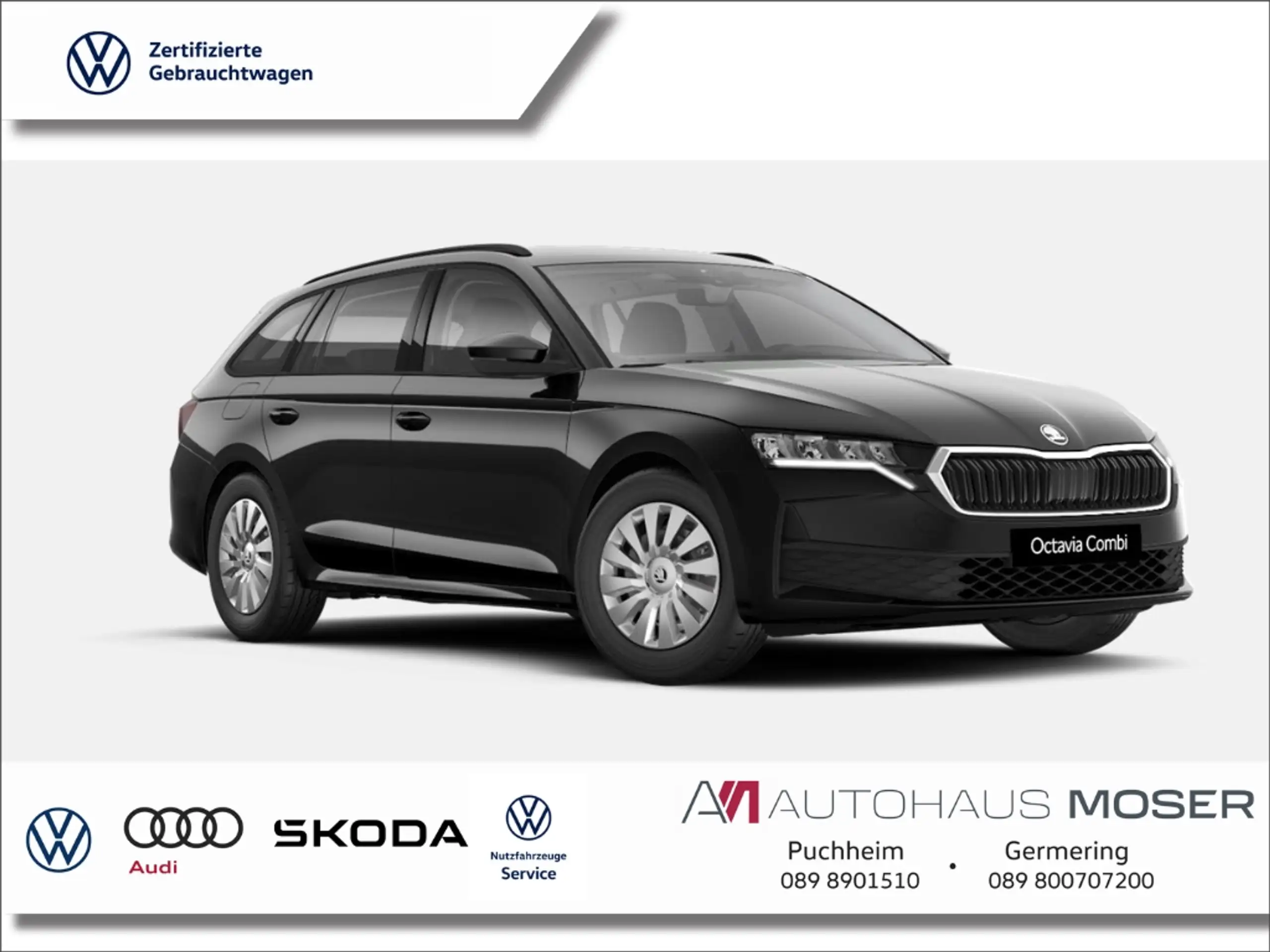 Skoda - Octavia