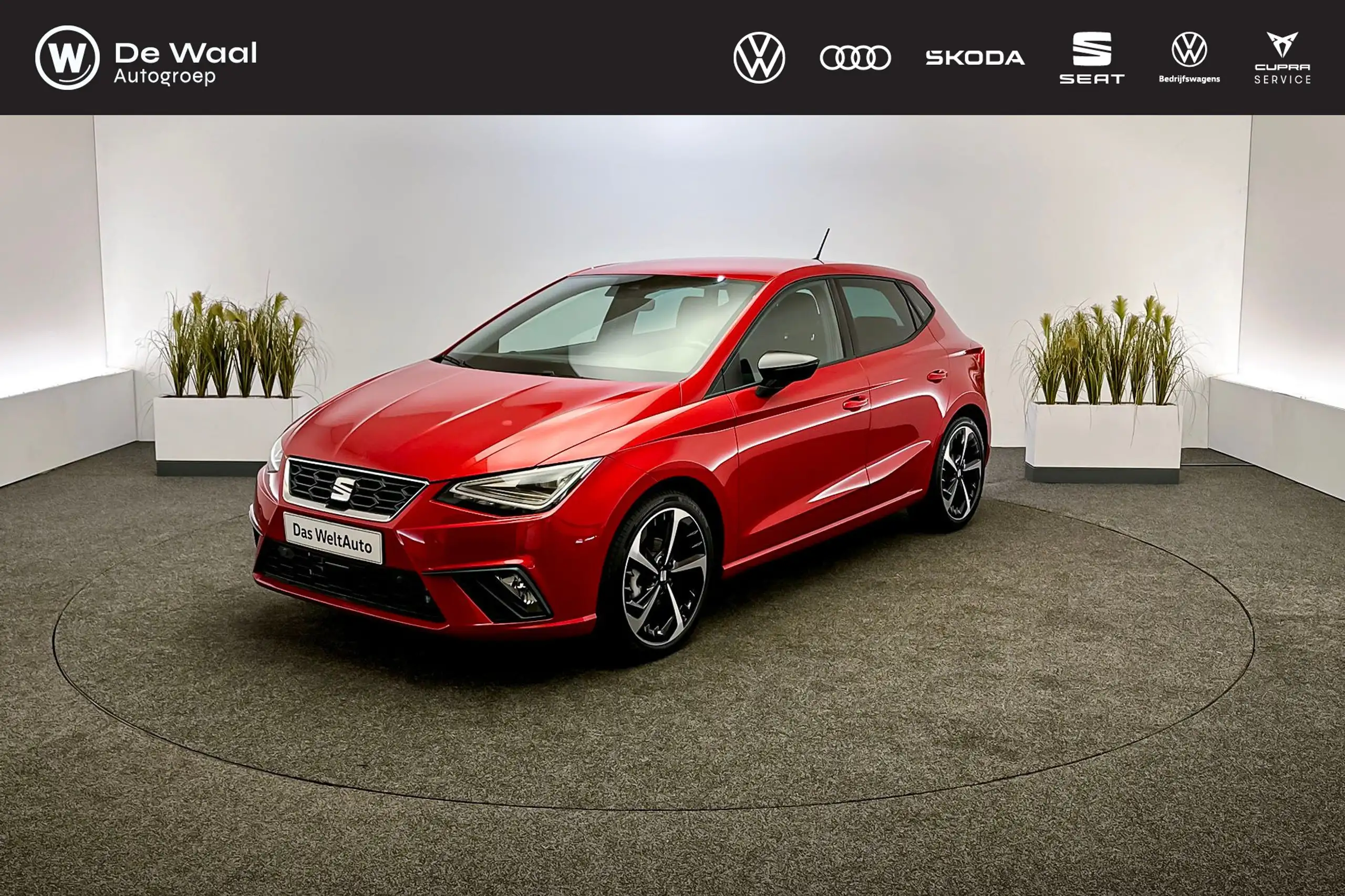 SEAT - Ibiza