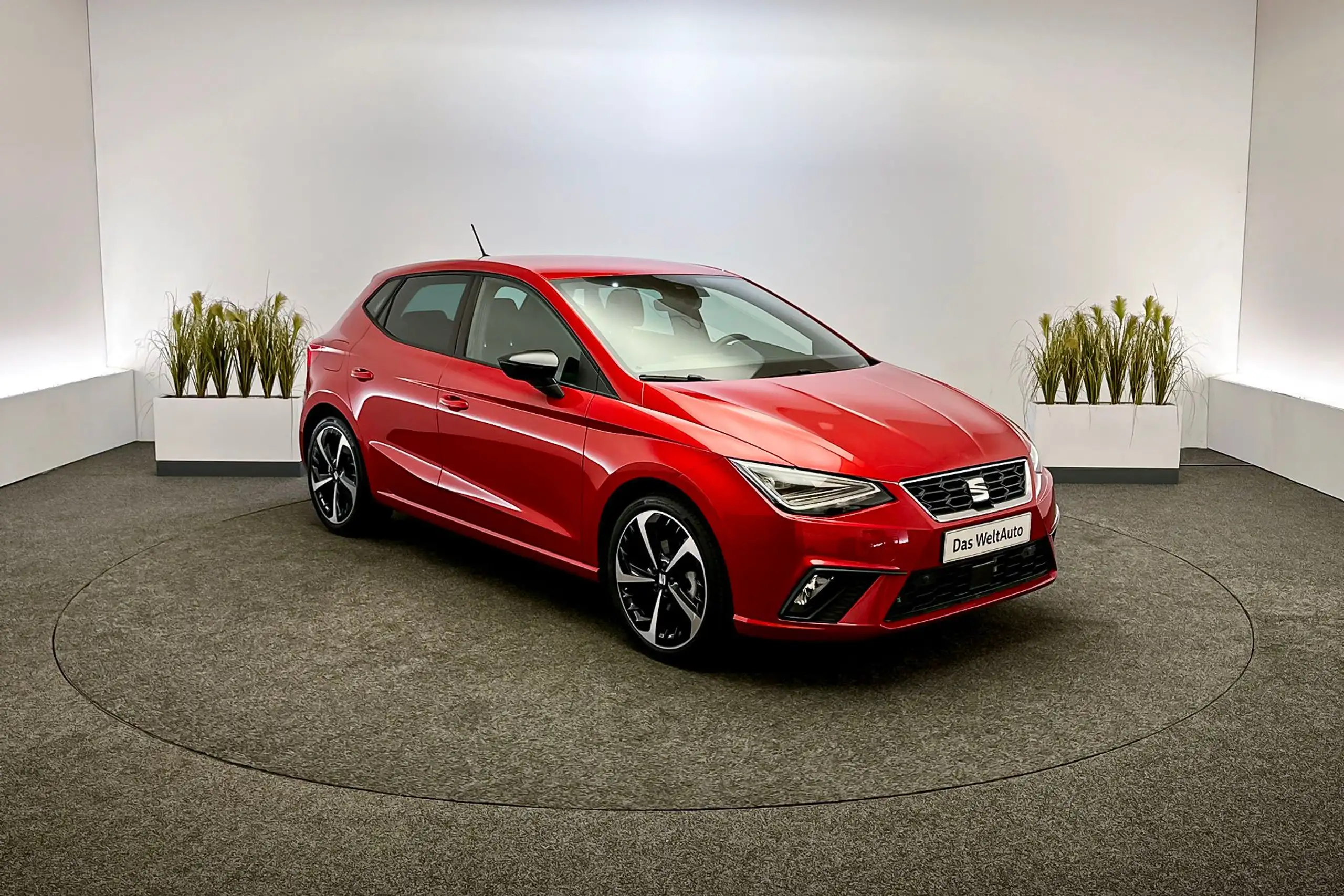 SEAT - Ibiza