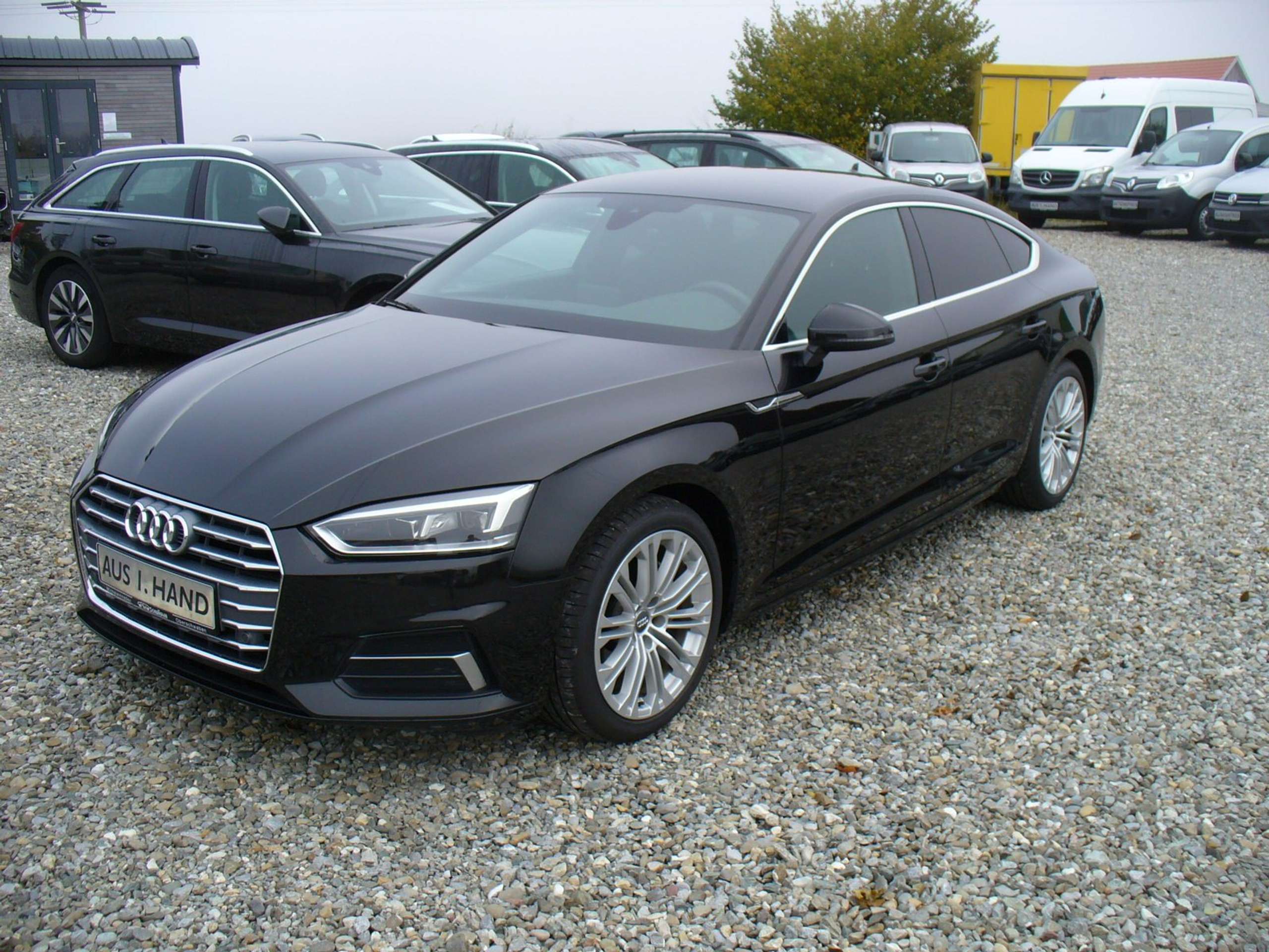 Audi - A5