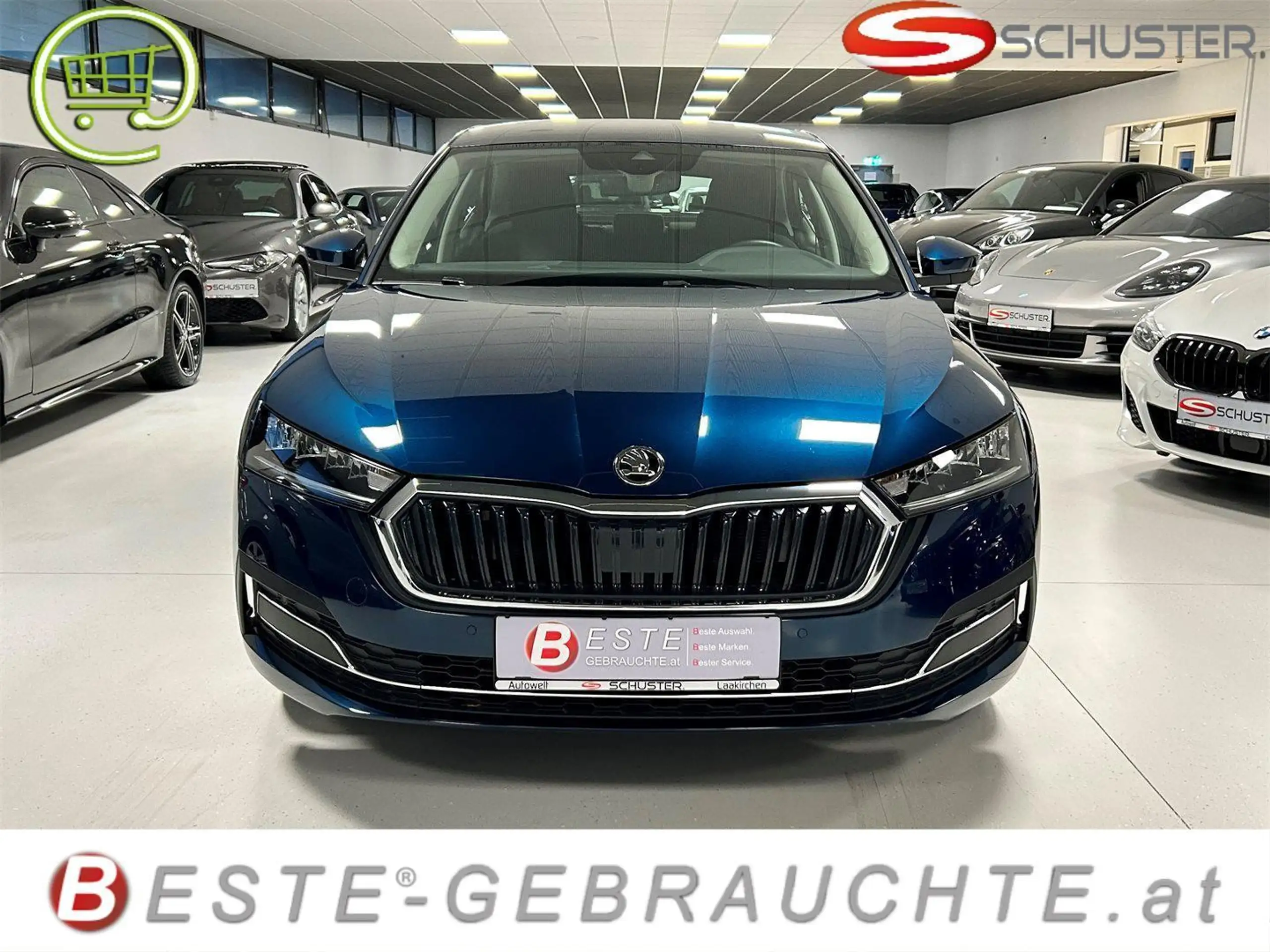 Skoda - Octavia