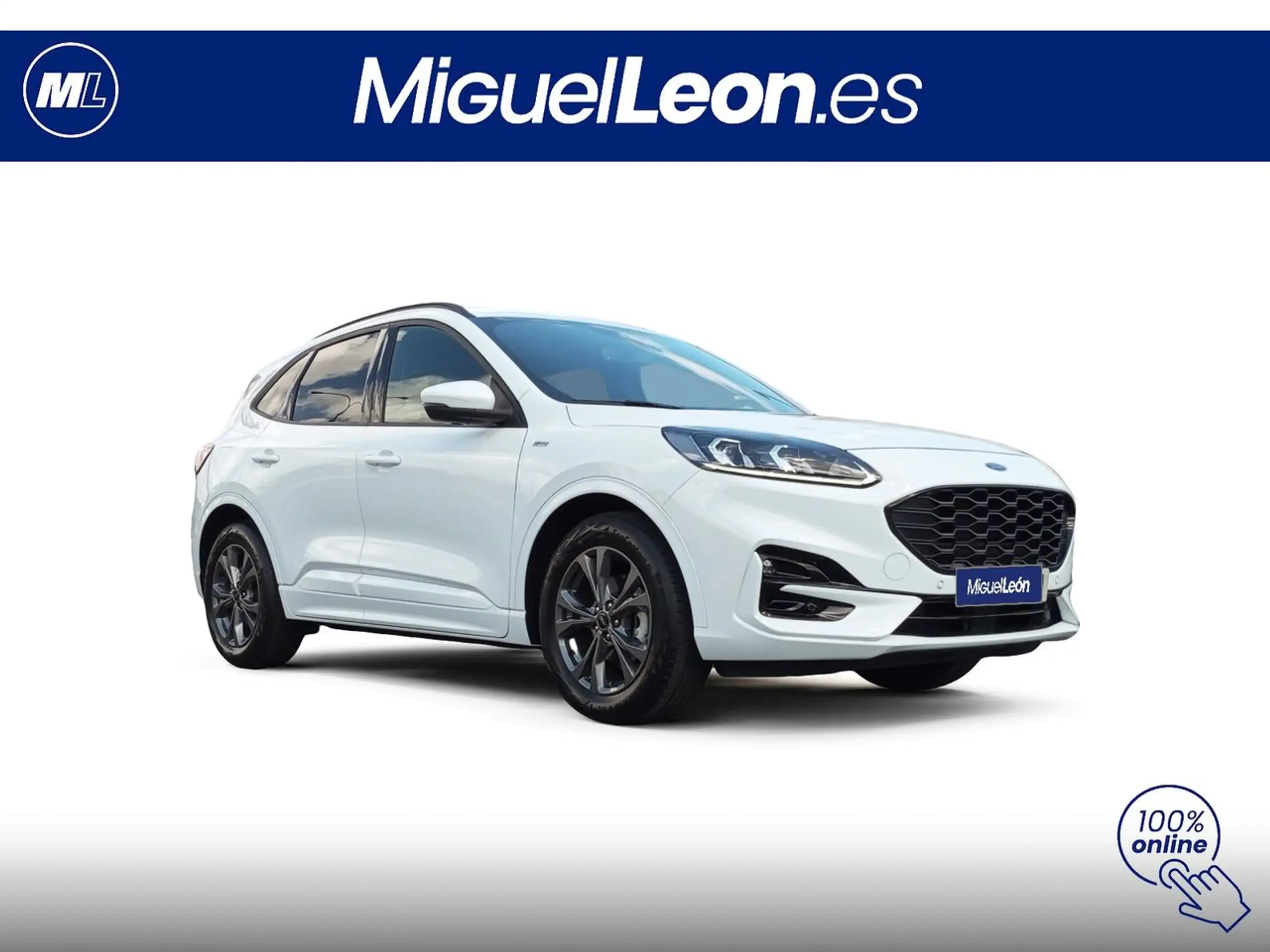 Ford - Kuga