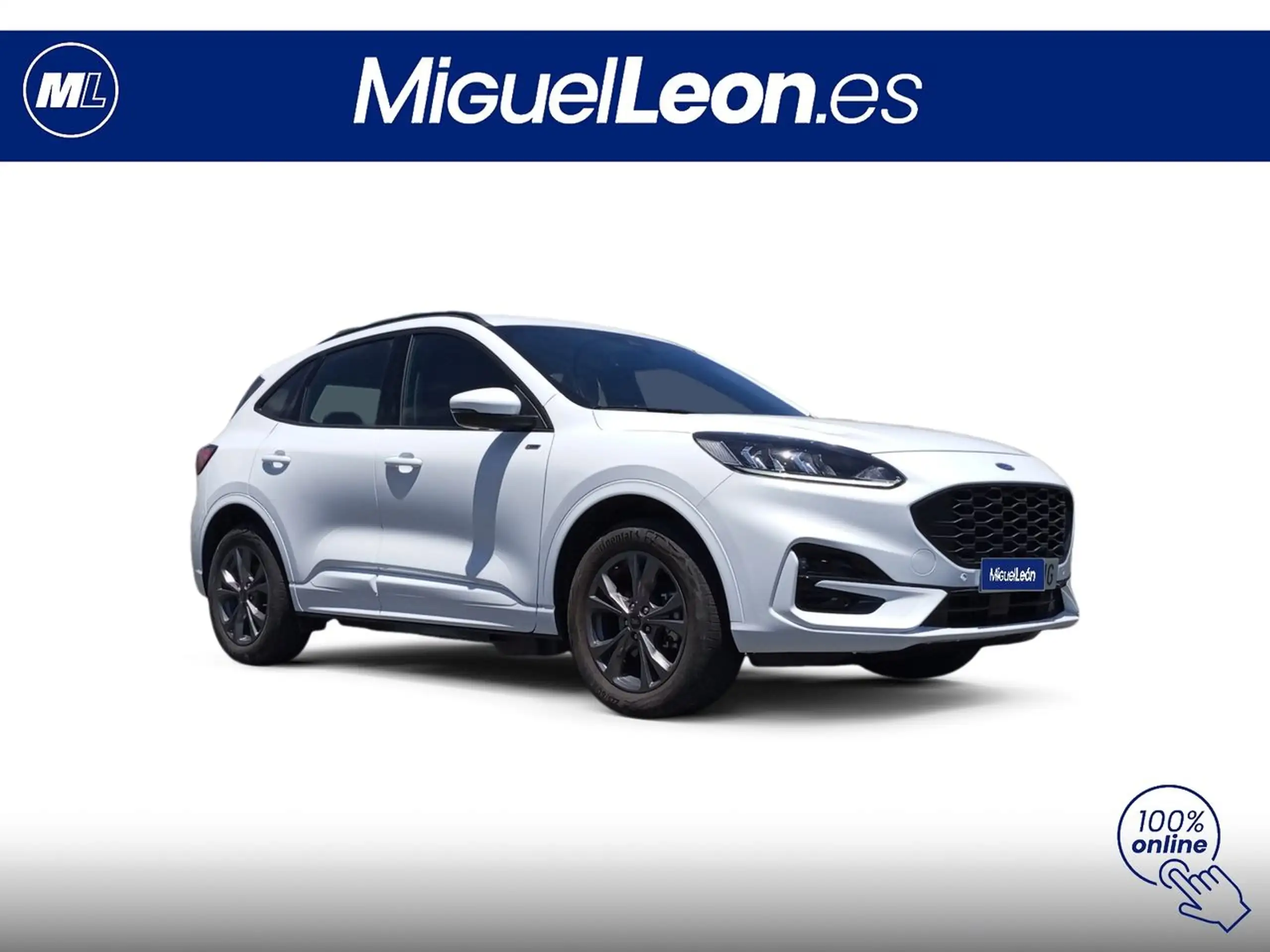 Ford - Kuga