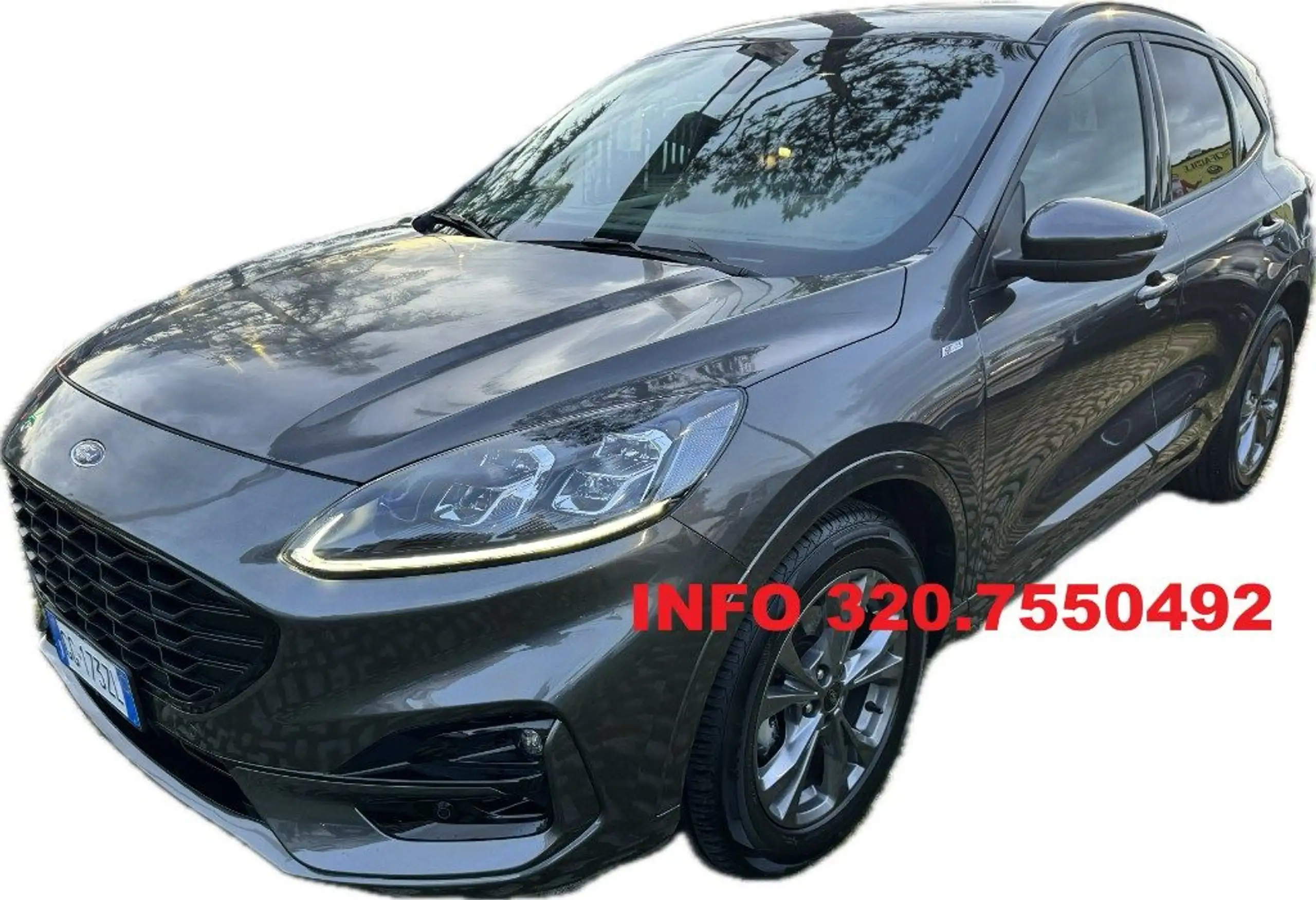 Ford - Kuga