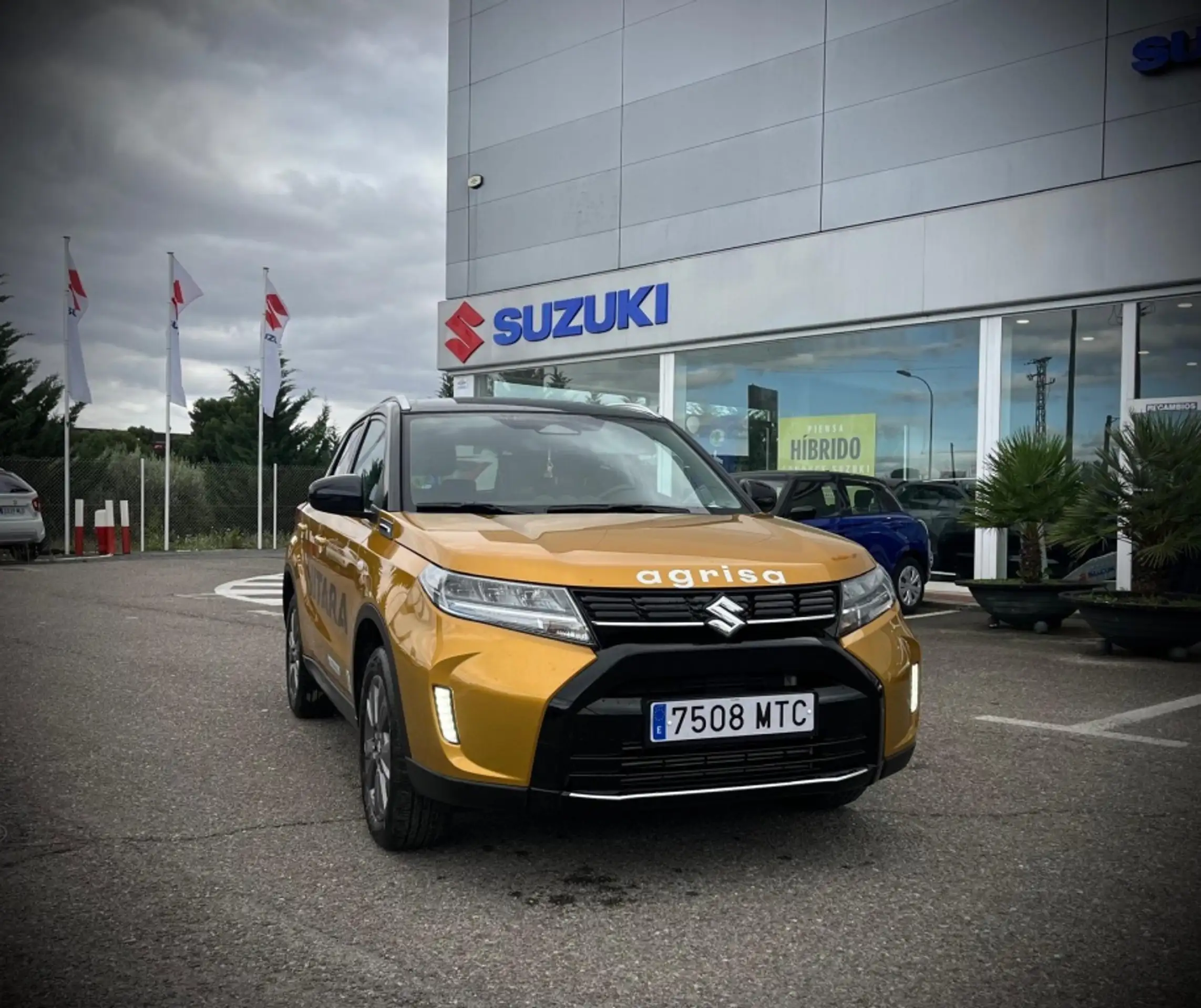 Suzuki Vitara 