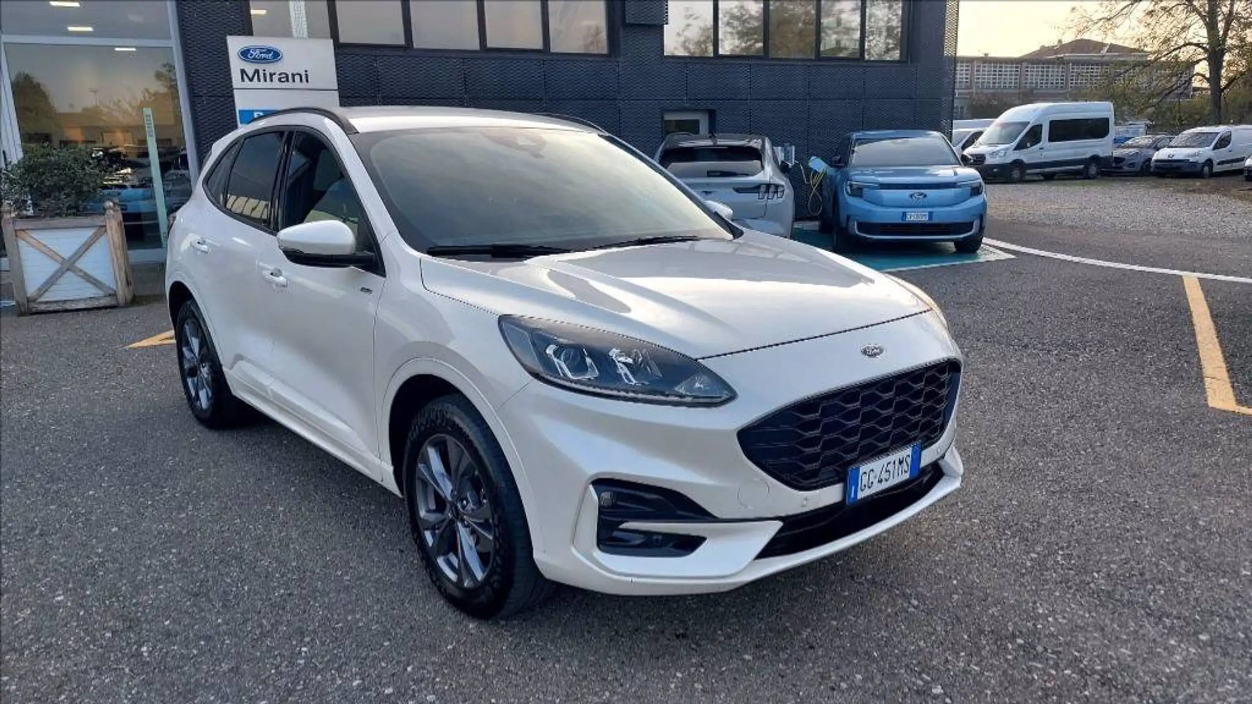 Ford - Kuga