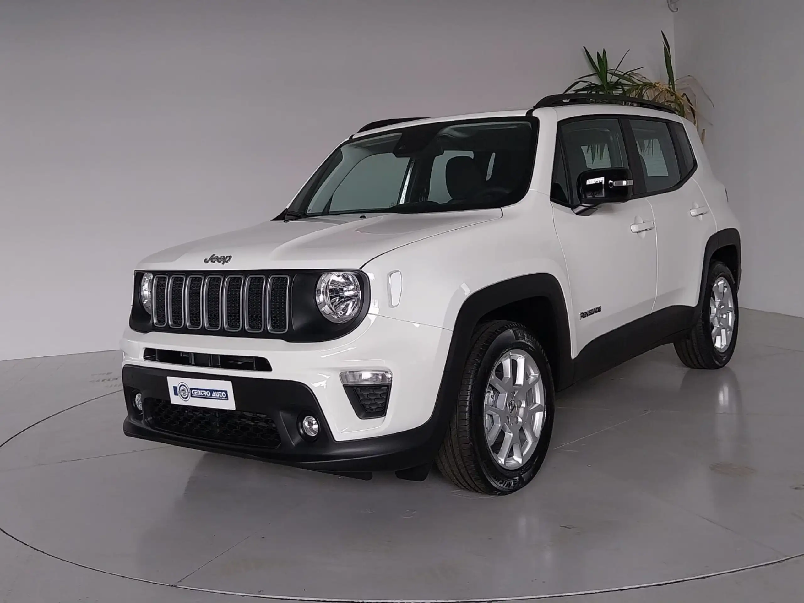 Jeep Renegade 2024