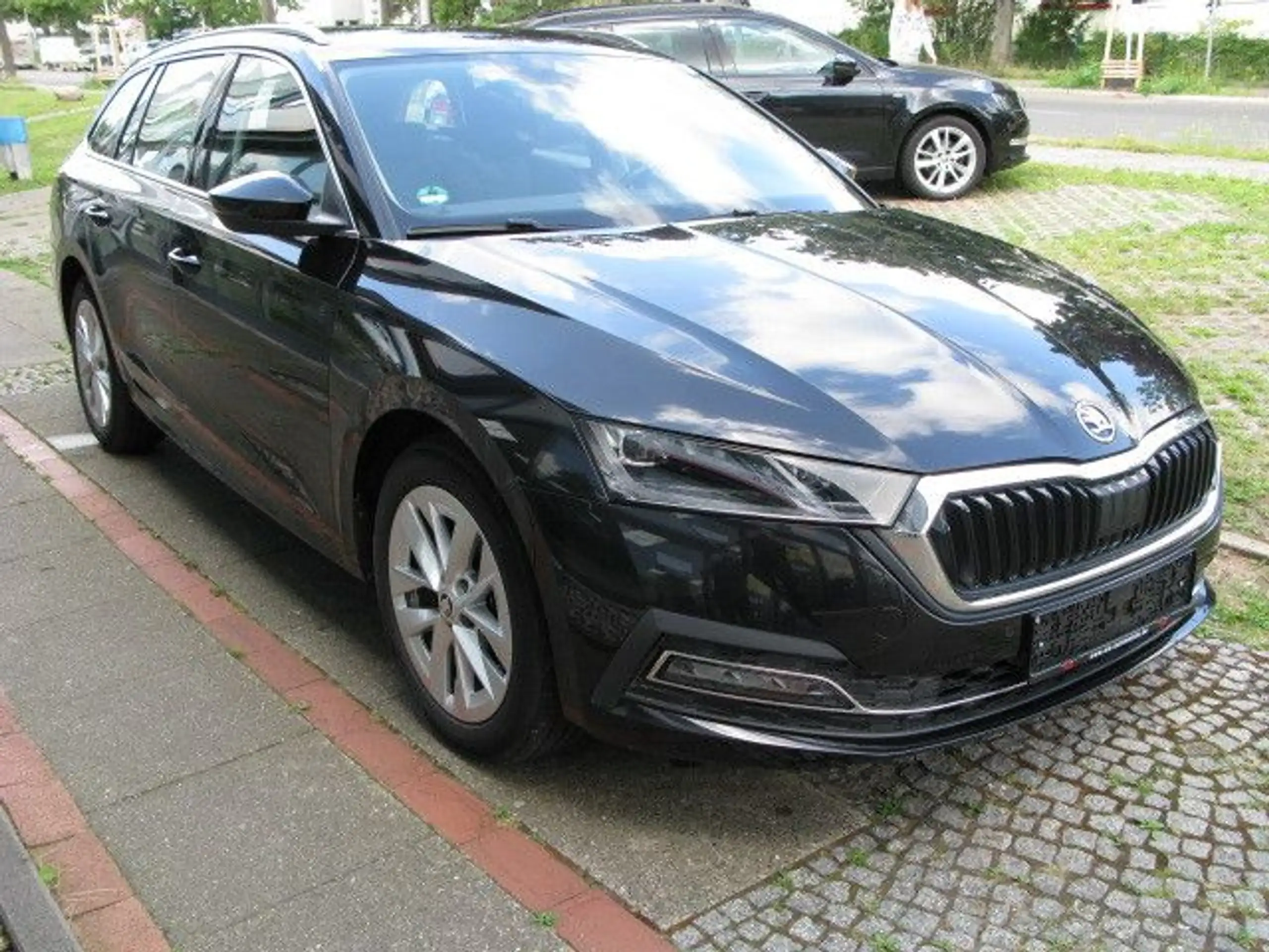 Skoda - Octavia