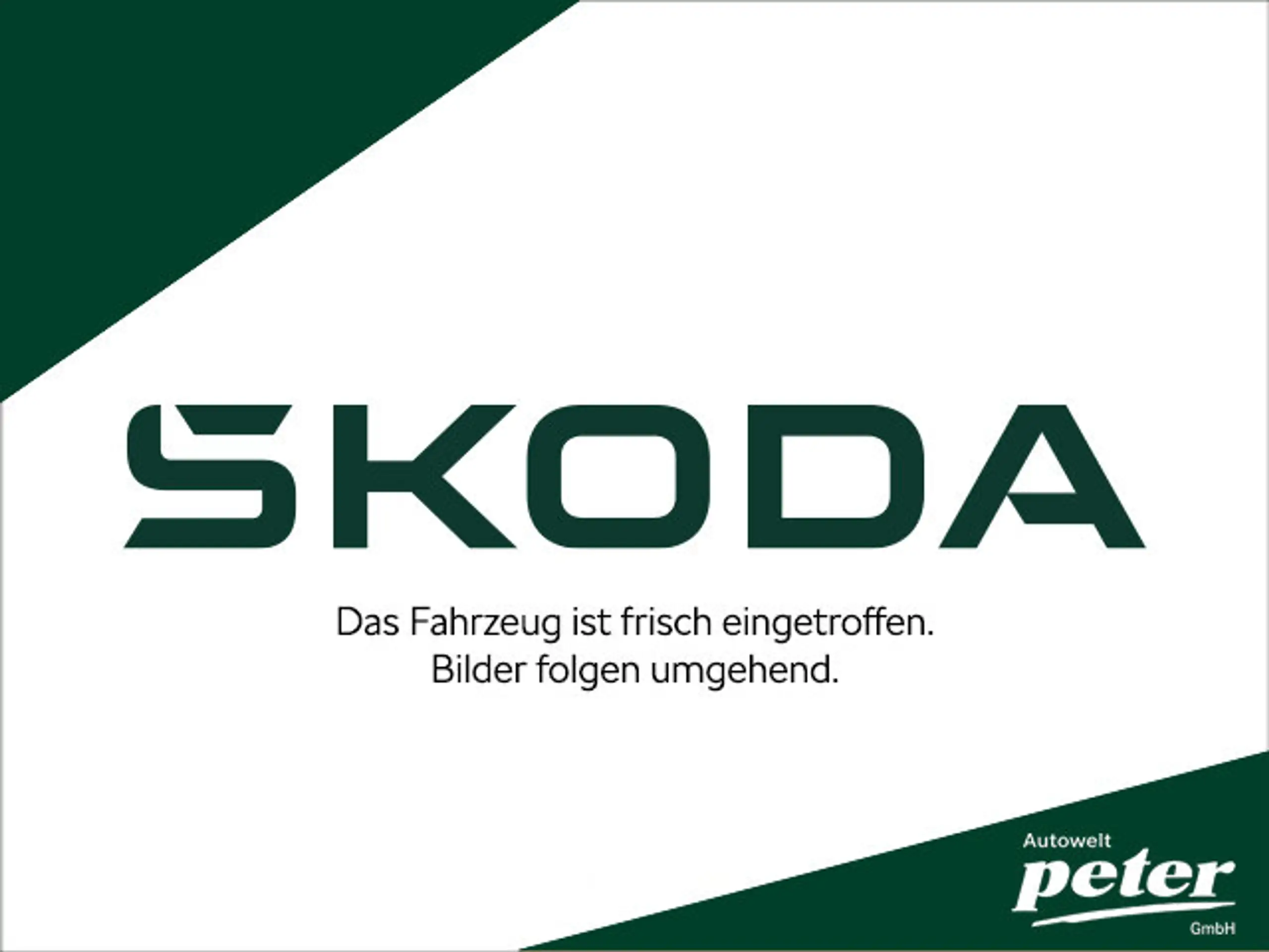 Skoda - Kamiq