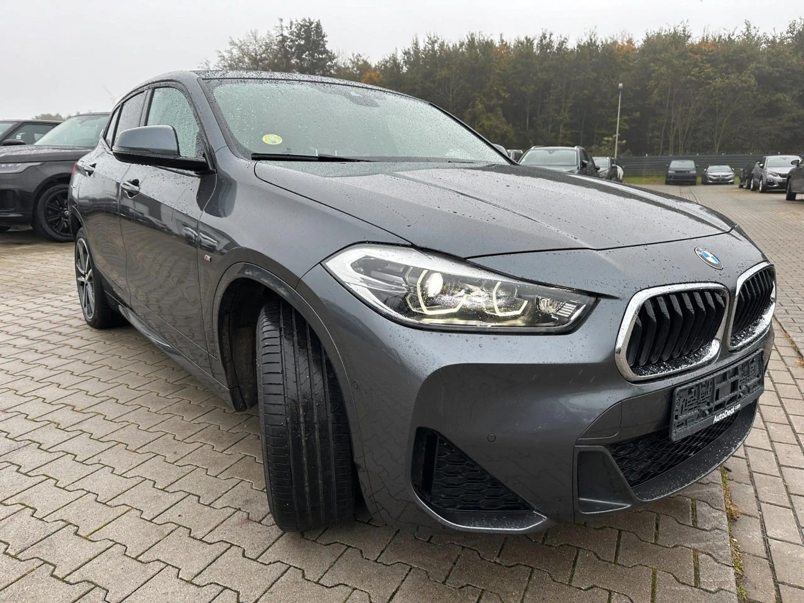 BMW - X2