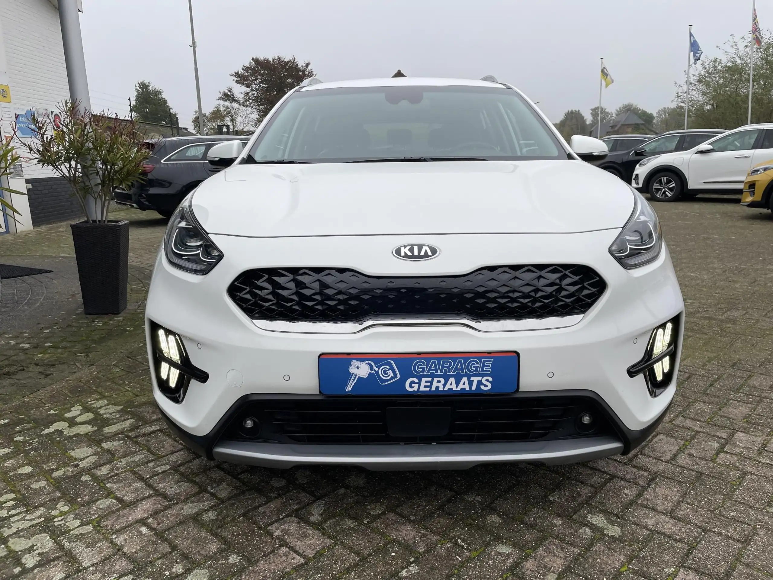 Kia - Niro