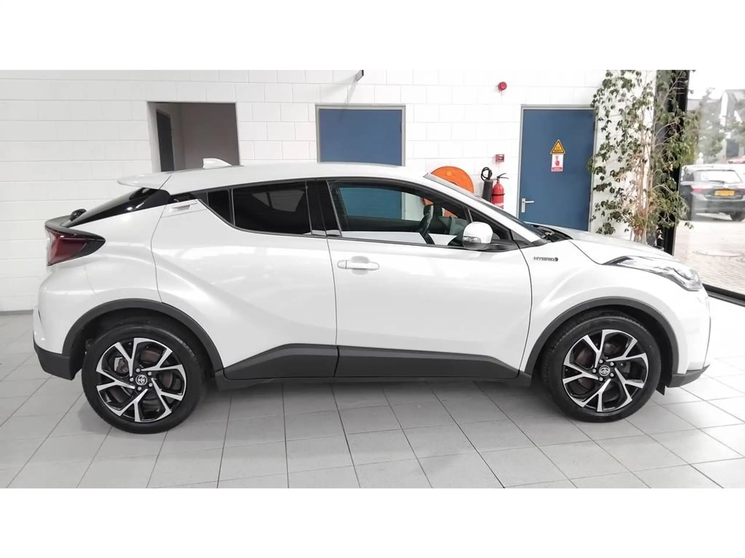 Toyota - C-HR