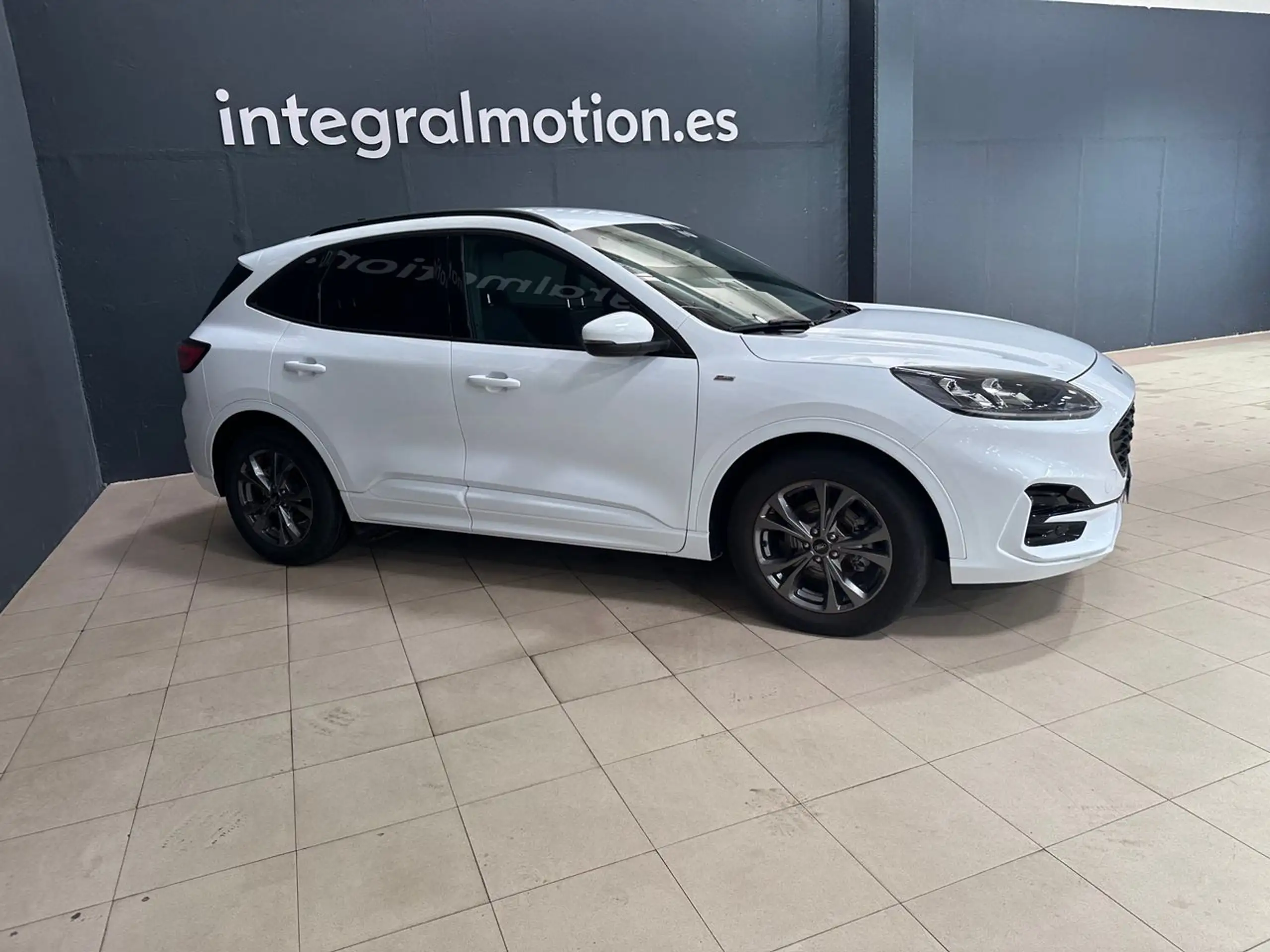 Ford - Kuga