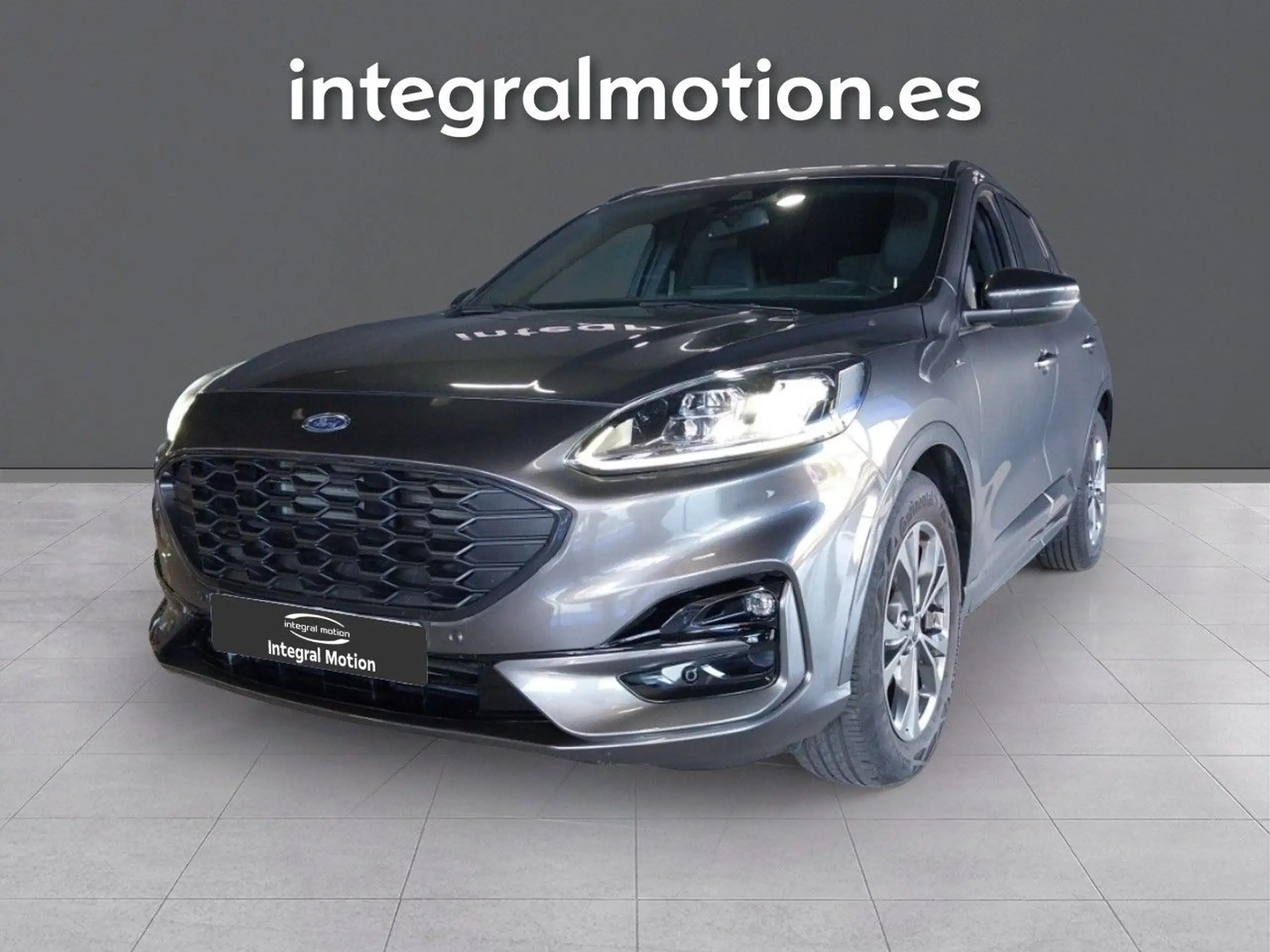 Ford - Kuga