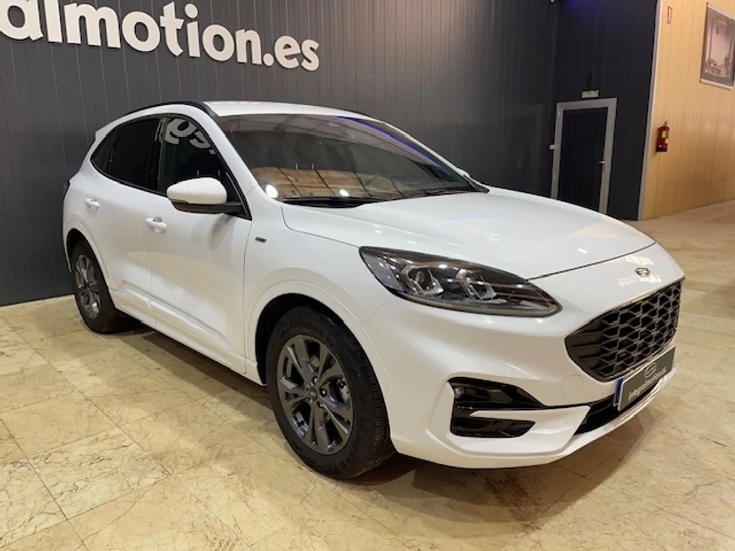 Ford - Kuga