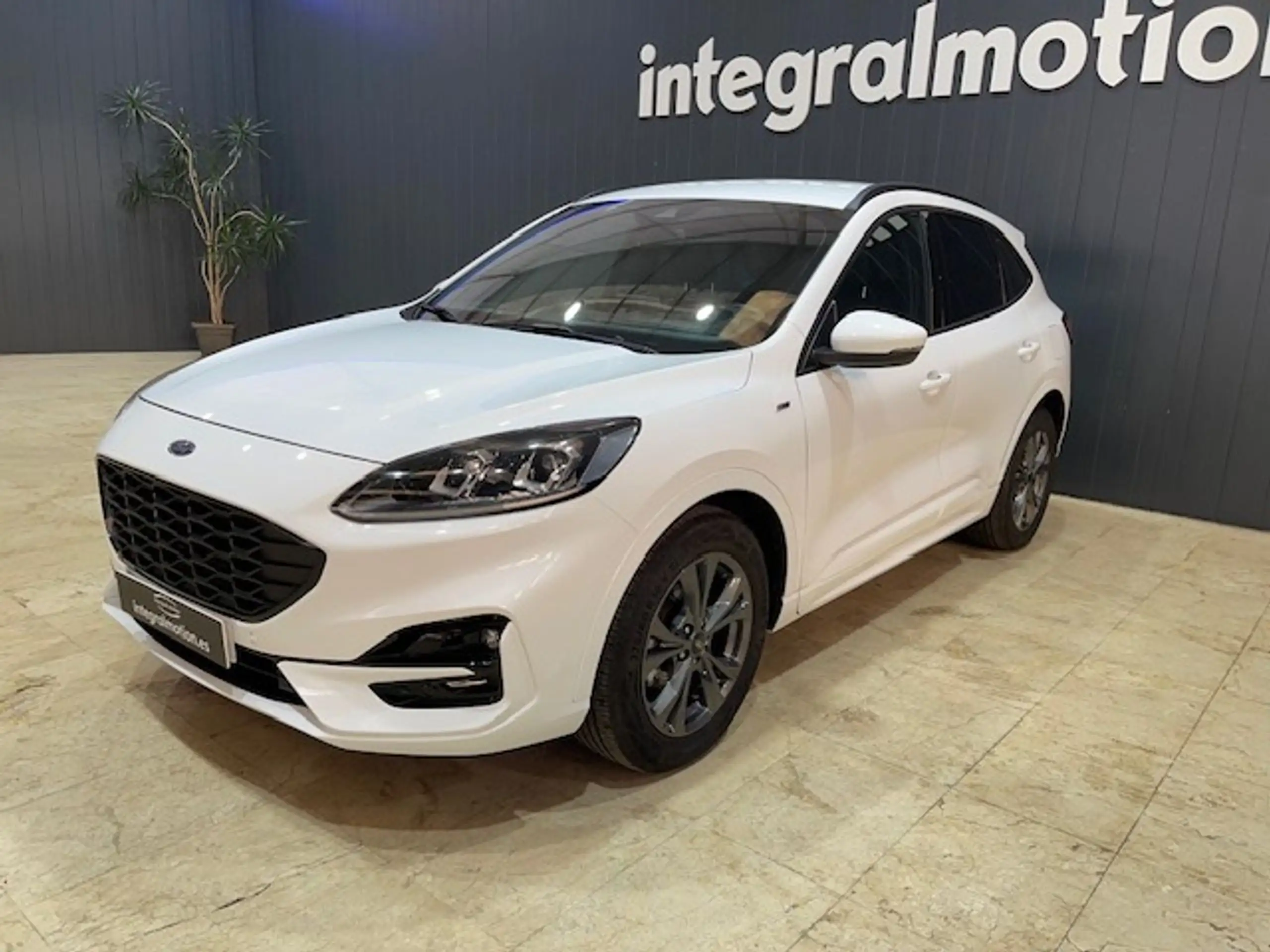 Ford - Kuga