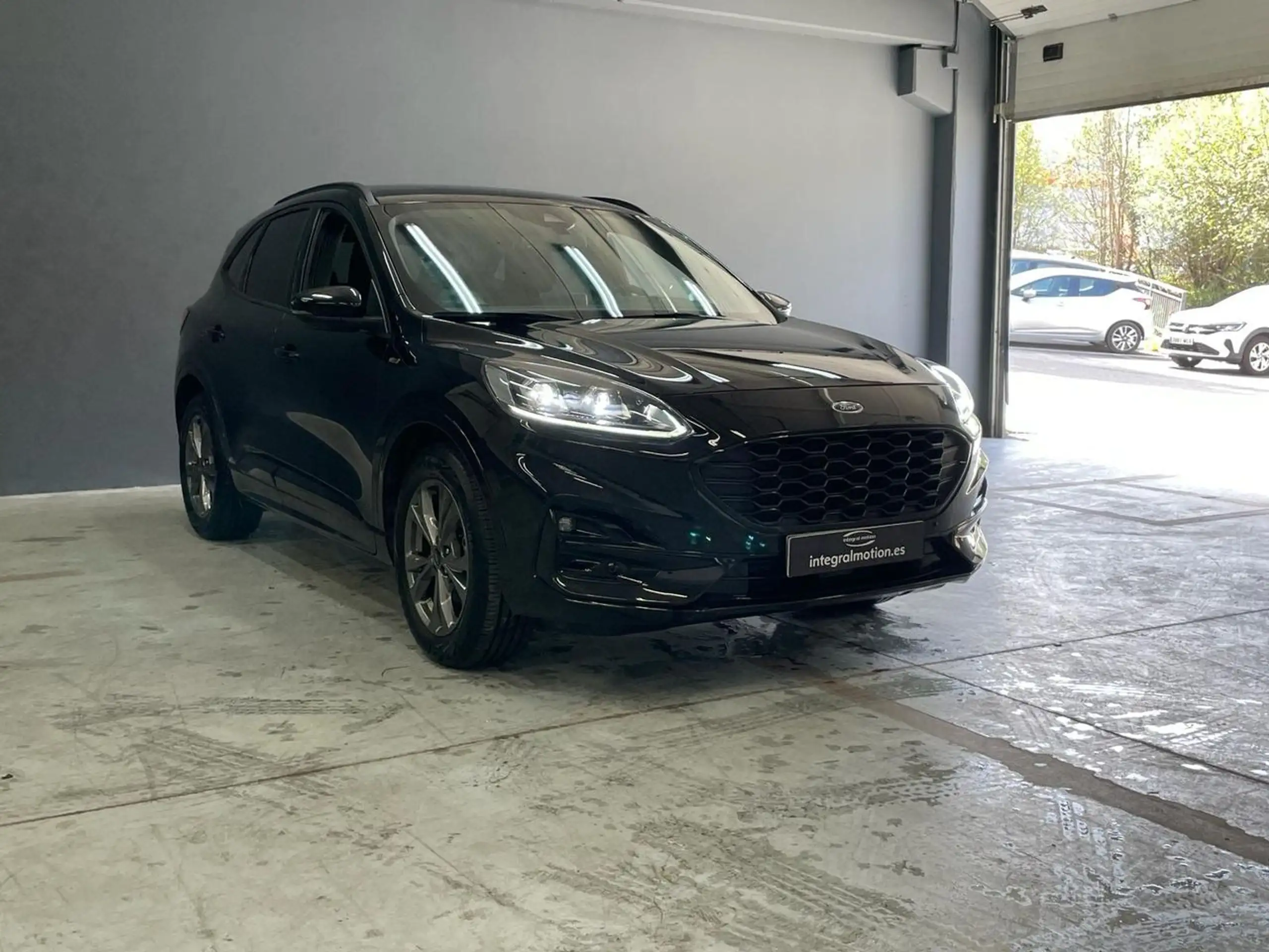 Ford - Kuga