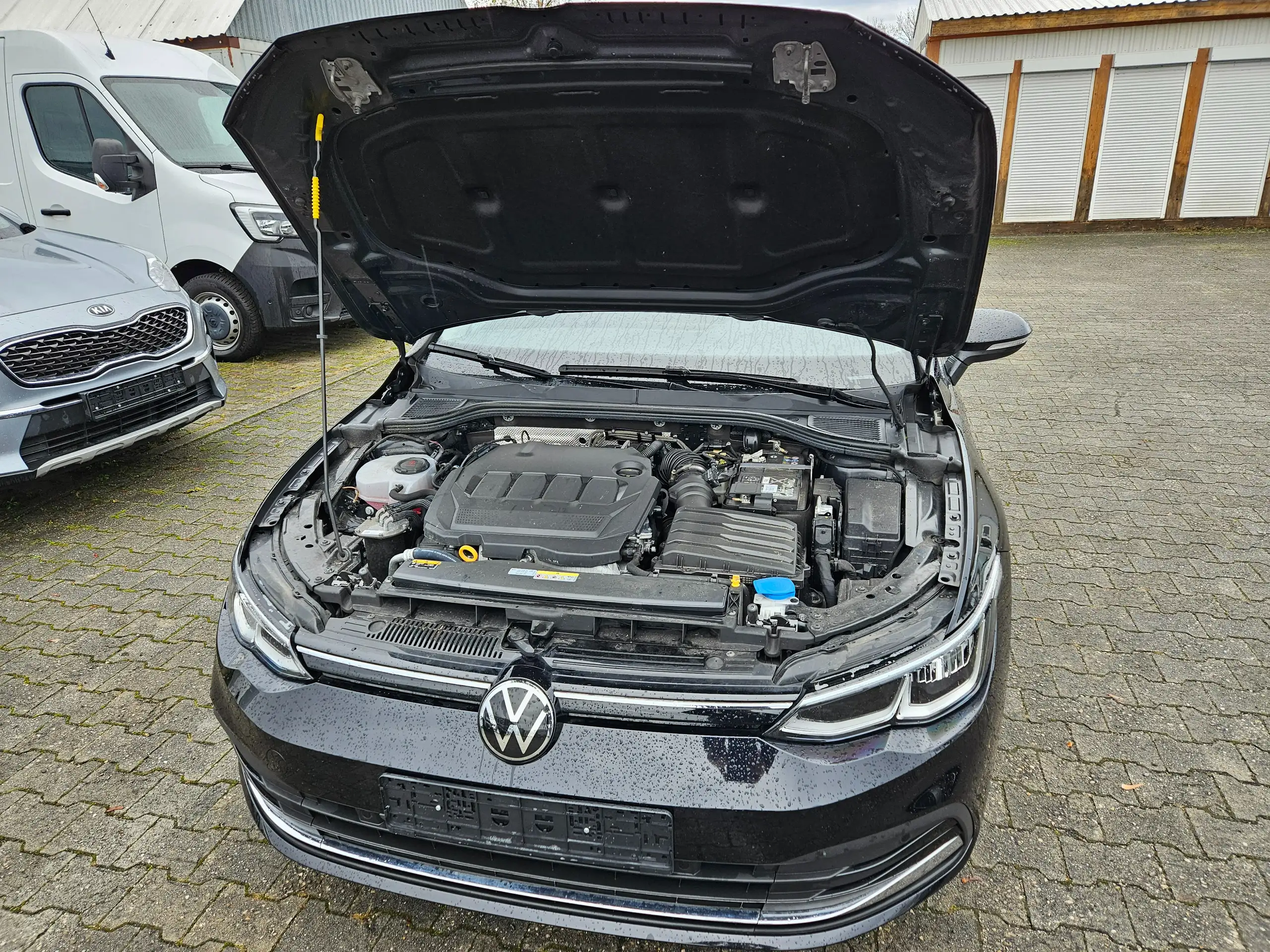 Volkswagen - Golf