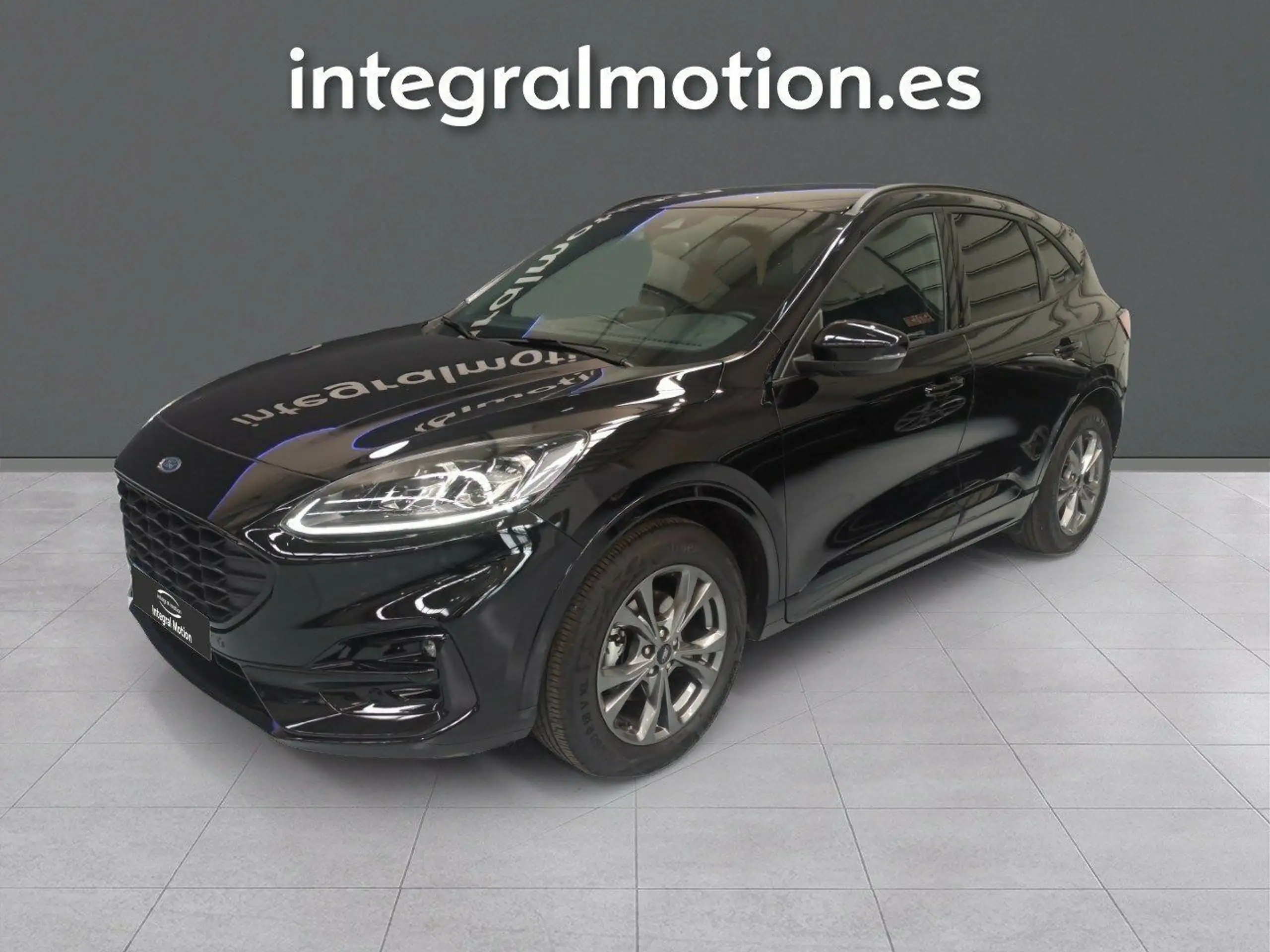 Ford - Kuga