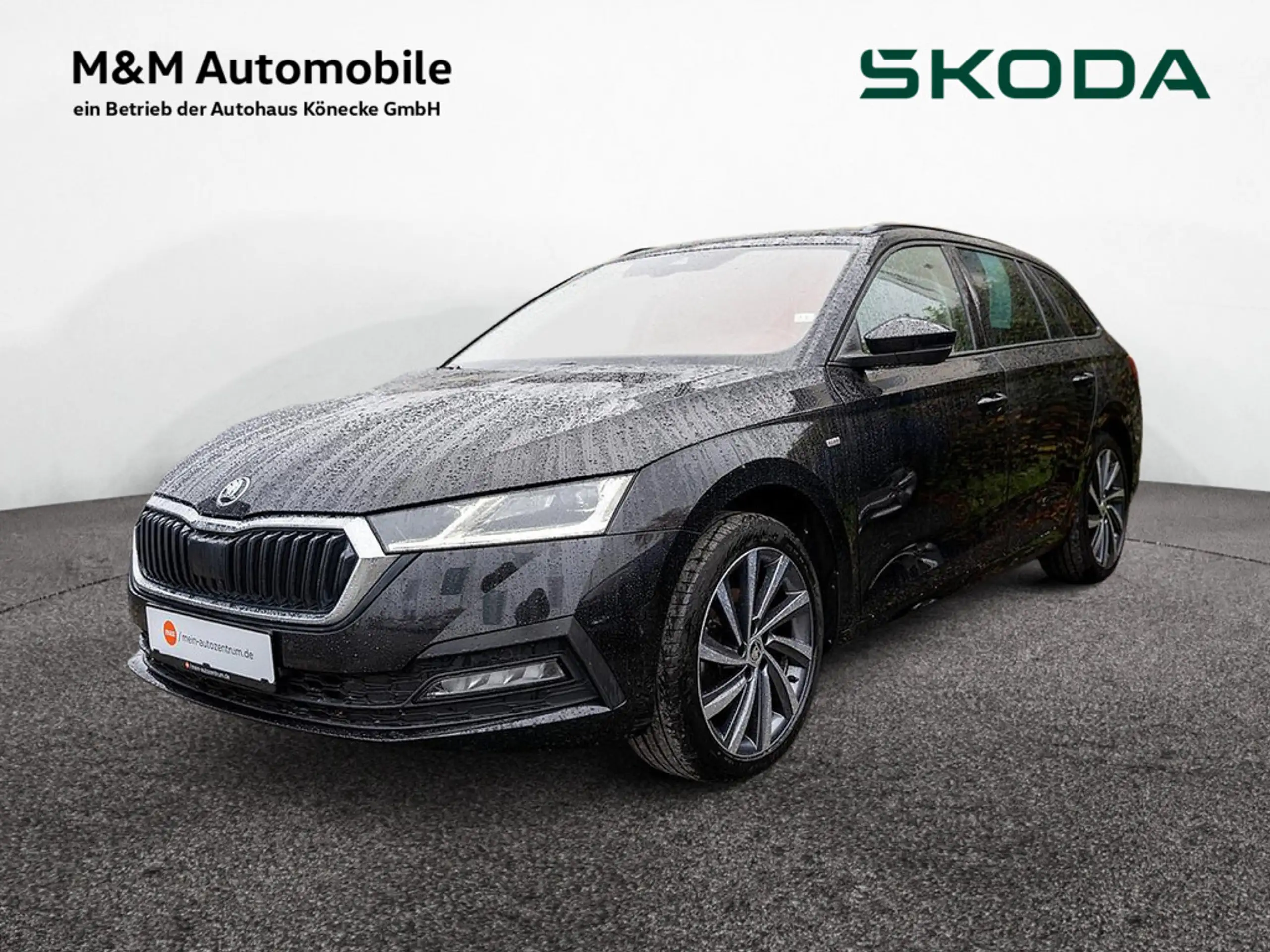 Skoda - Octavia