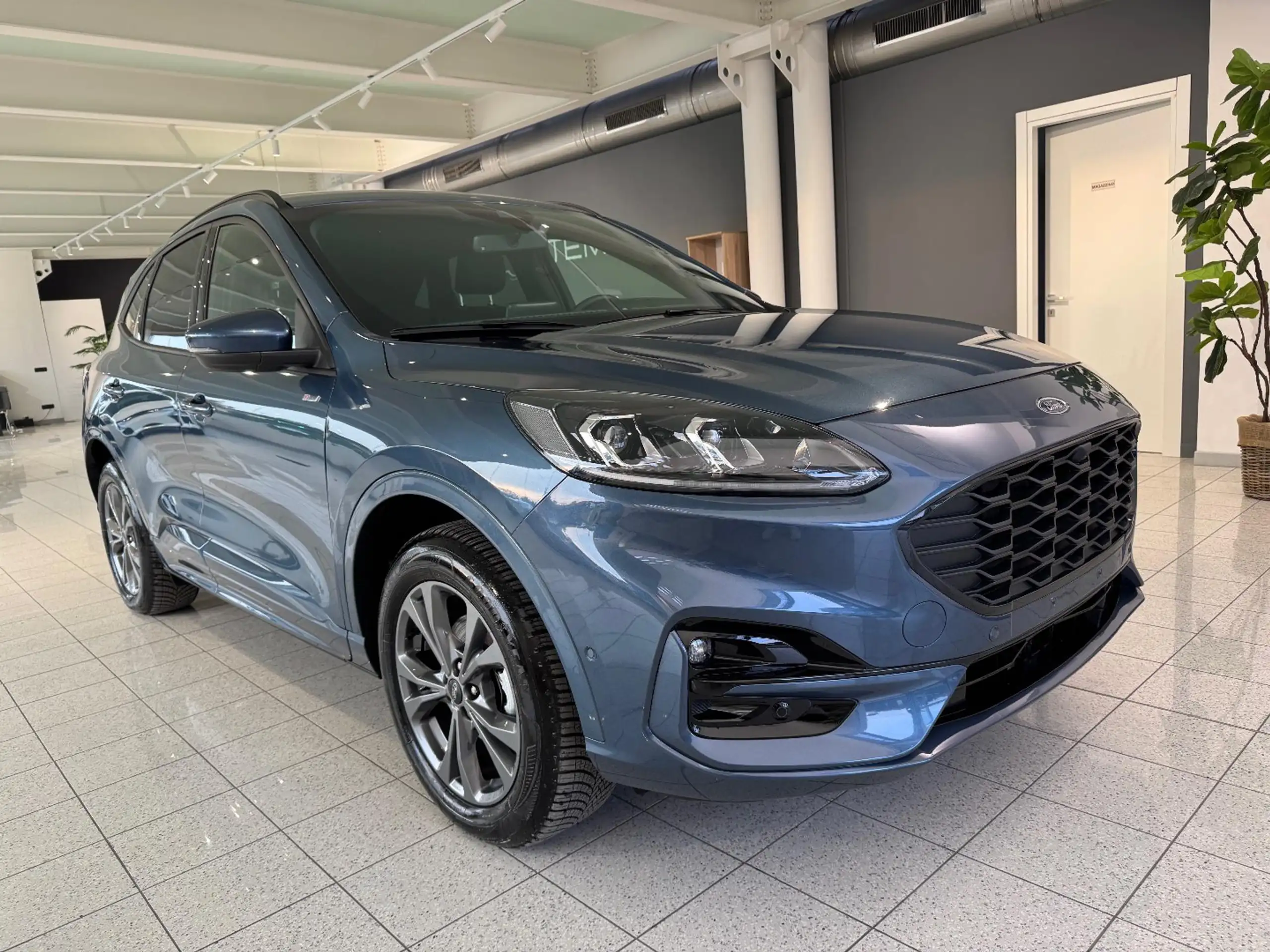 Ford - Kuga