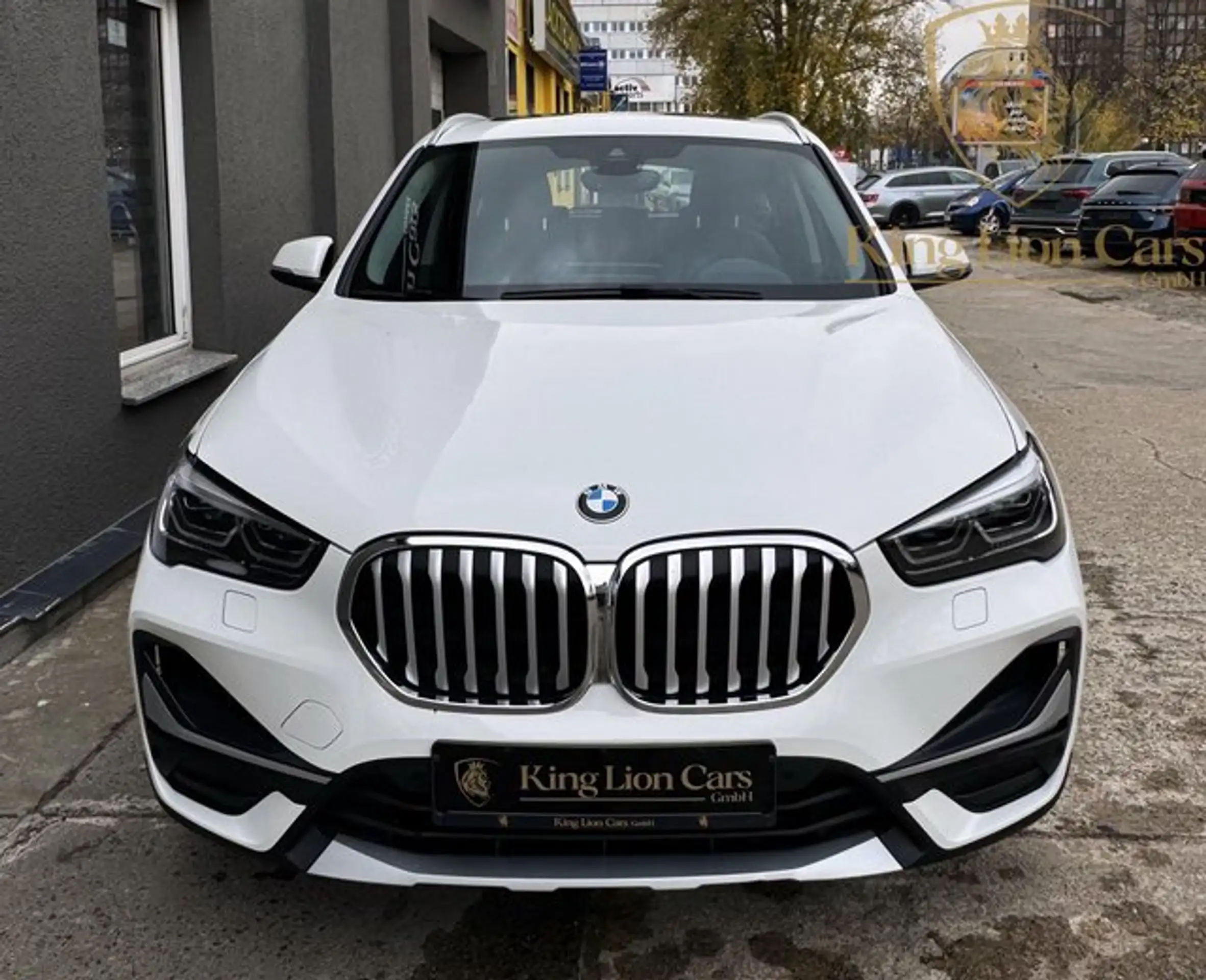 BMW - X1