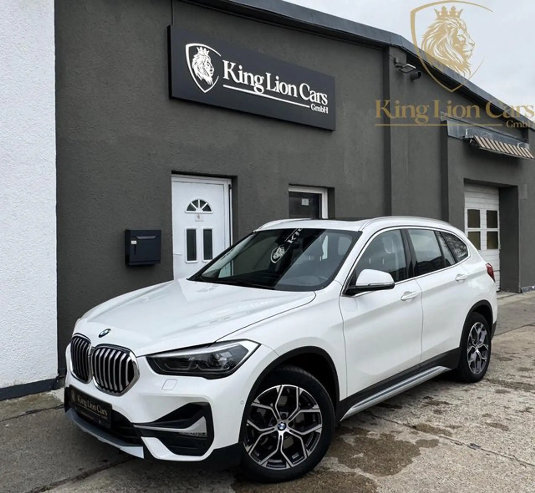 BMW - X1