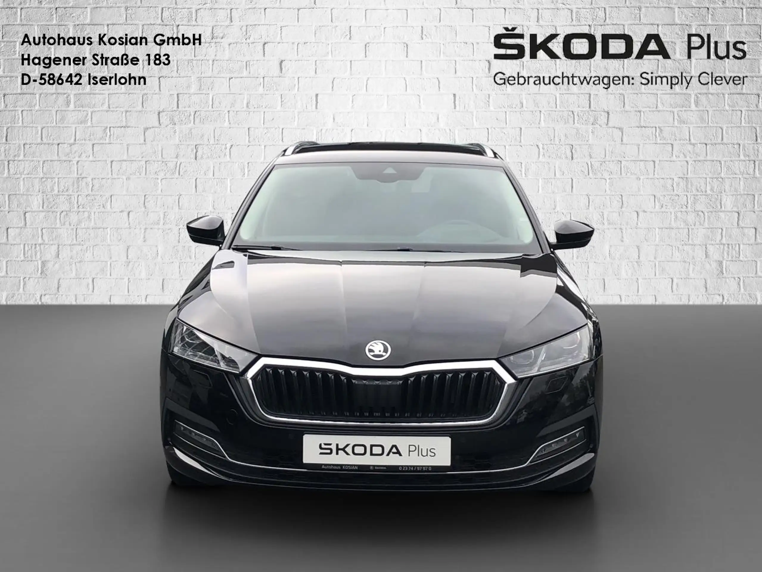 Skoda - Octavia