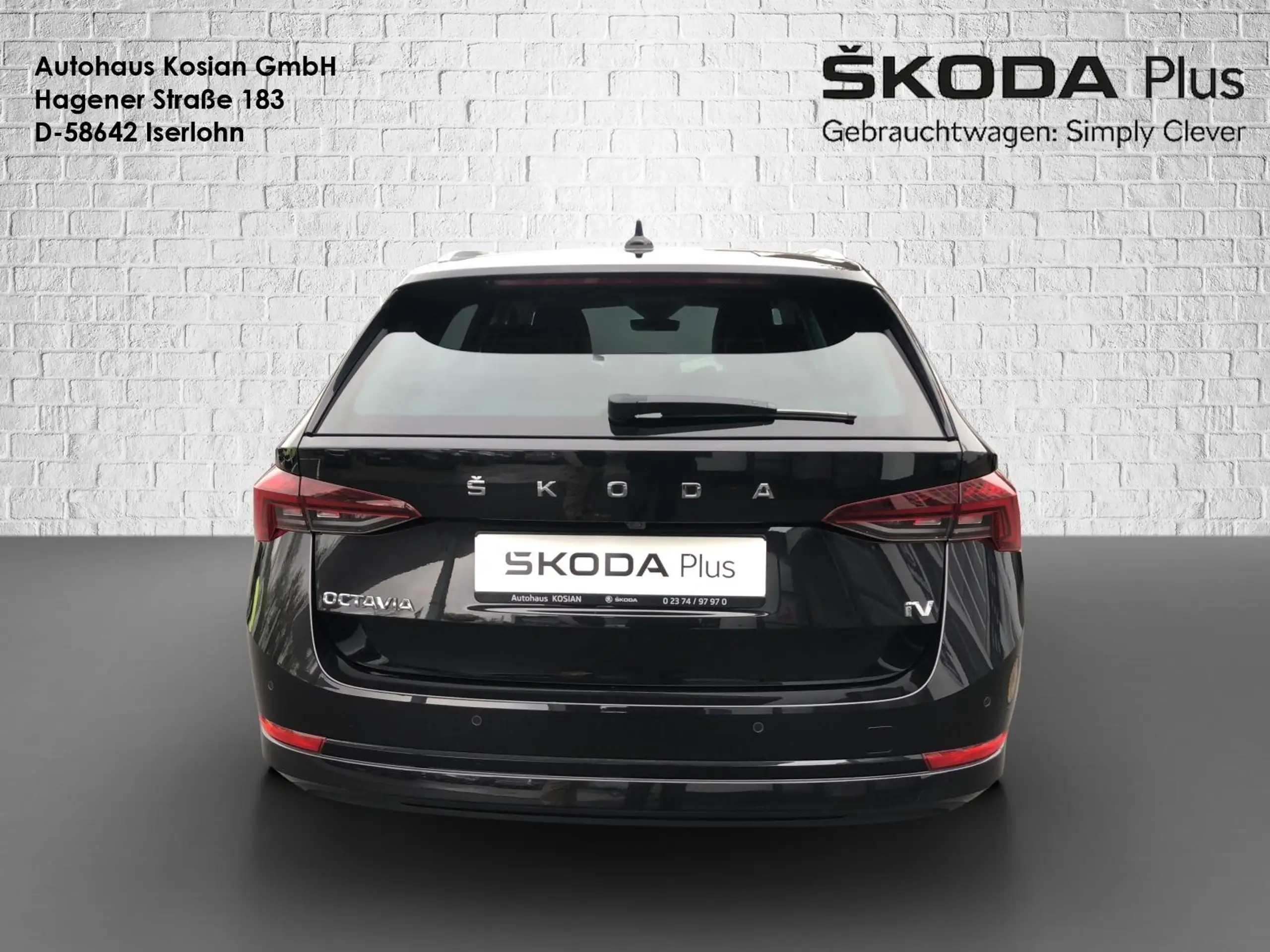 Skoda - Octavia