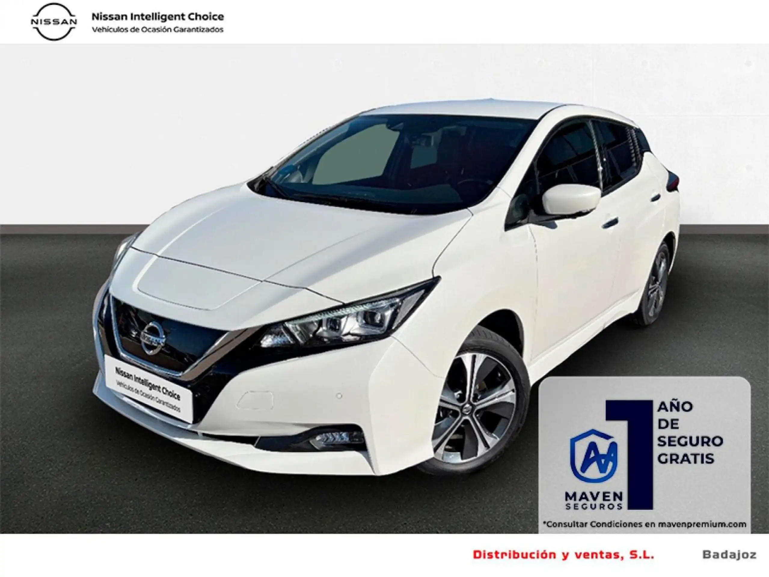 Nissan Leaf 2021