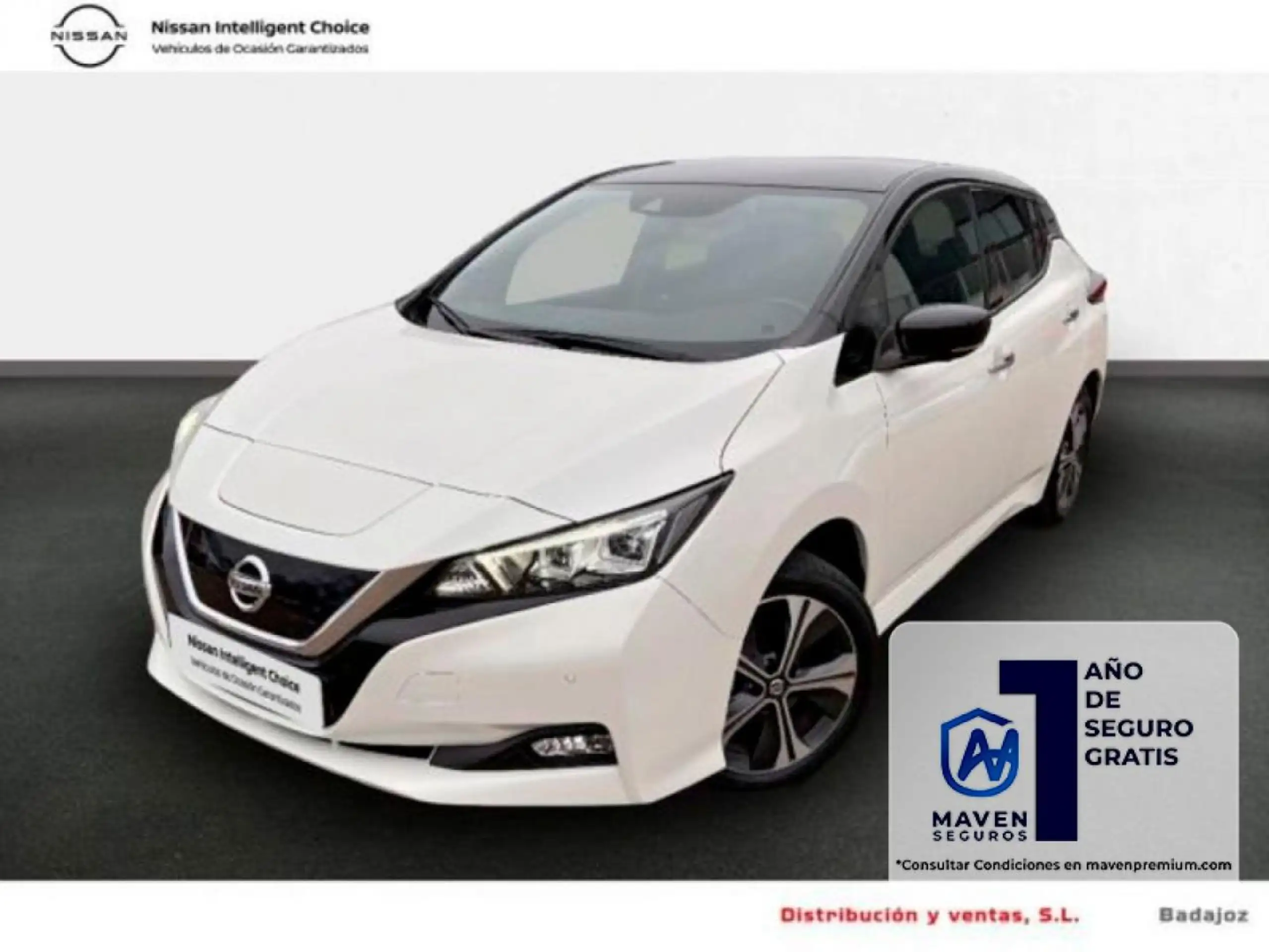 Nissan - Leaf