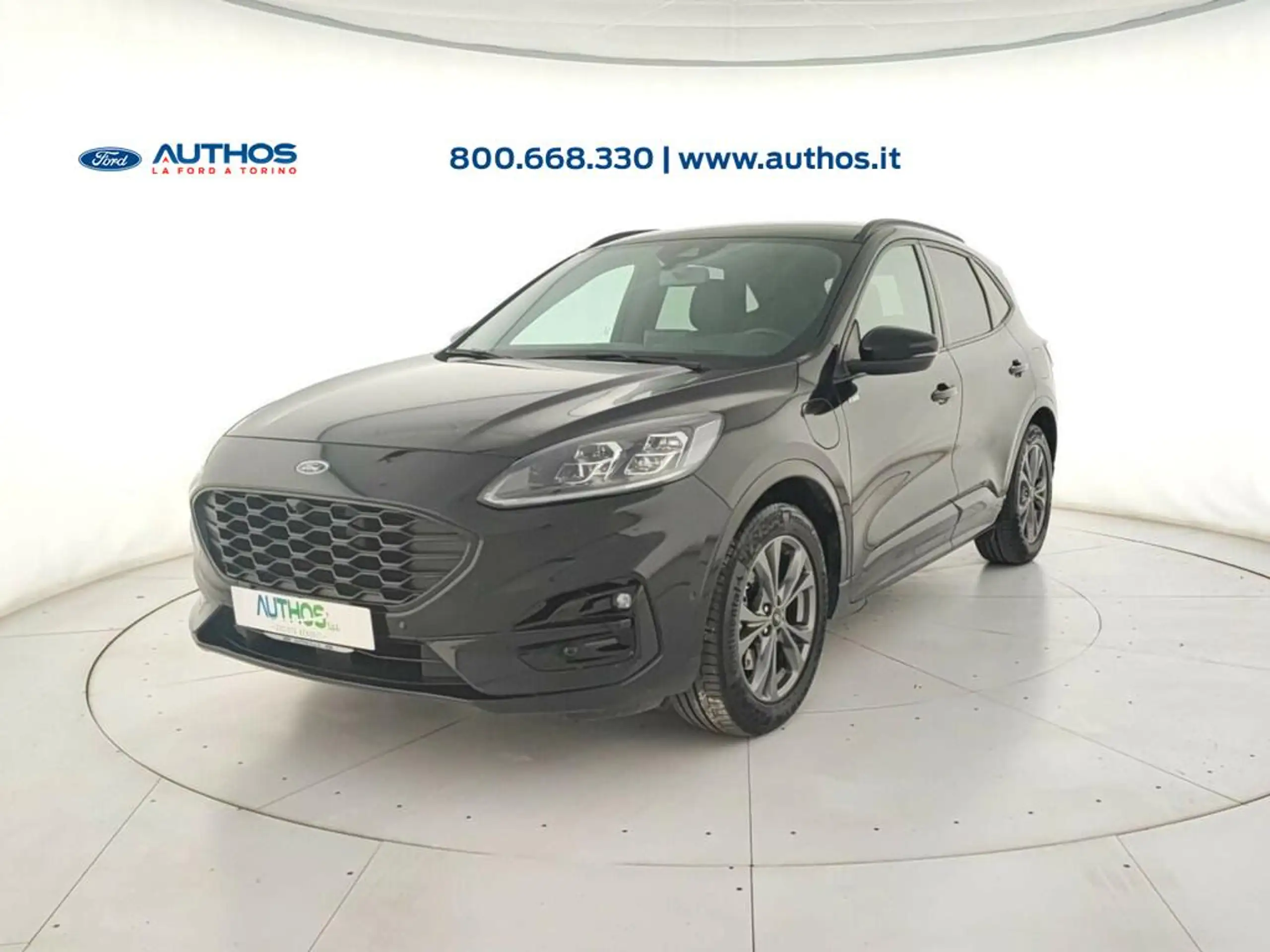 Ford - Kuga