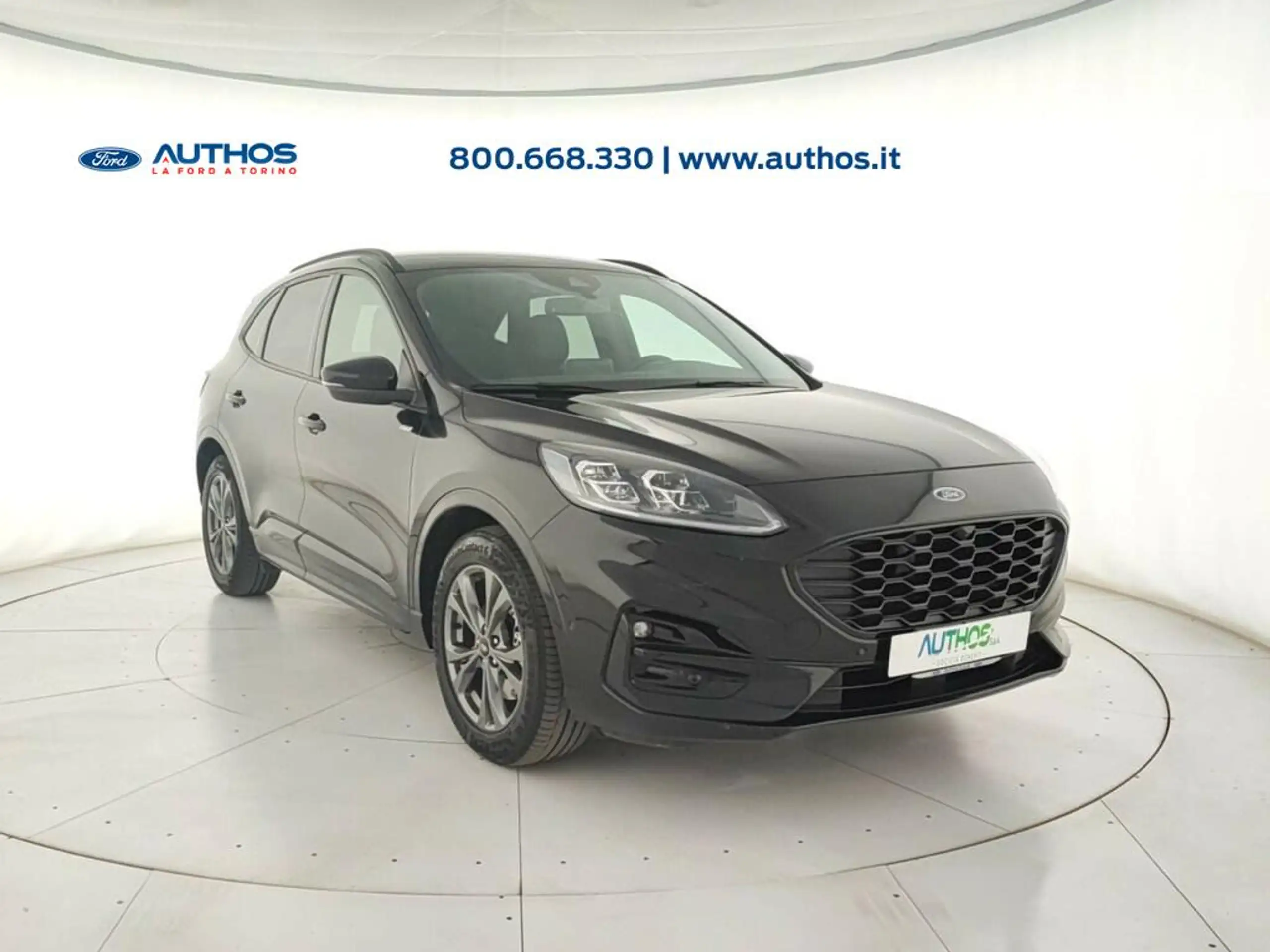 Ford - Kuga