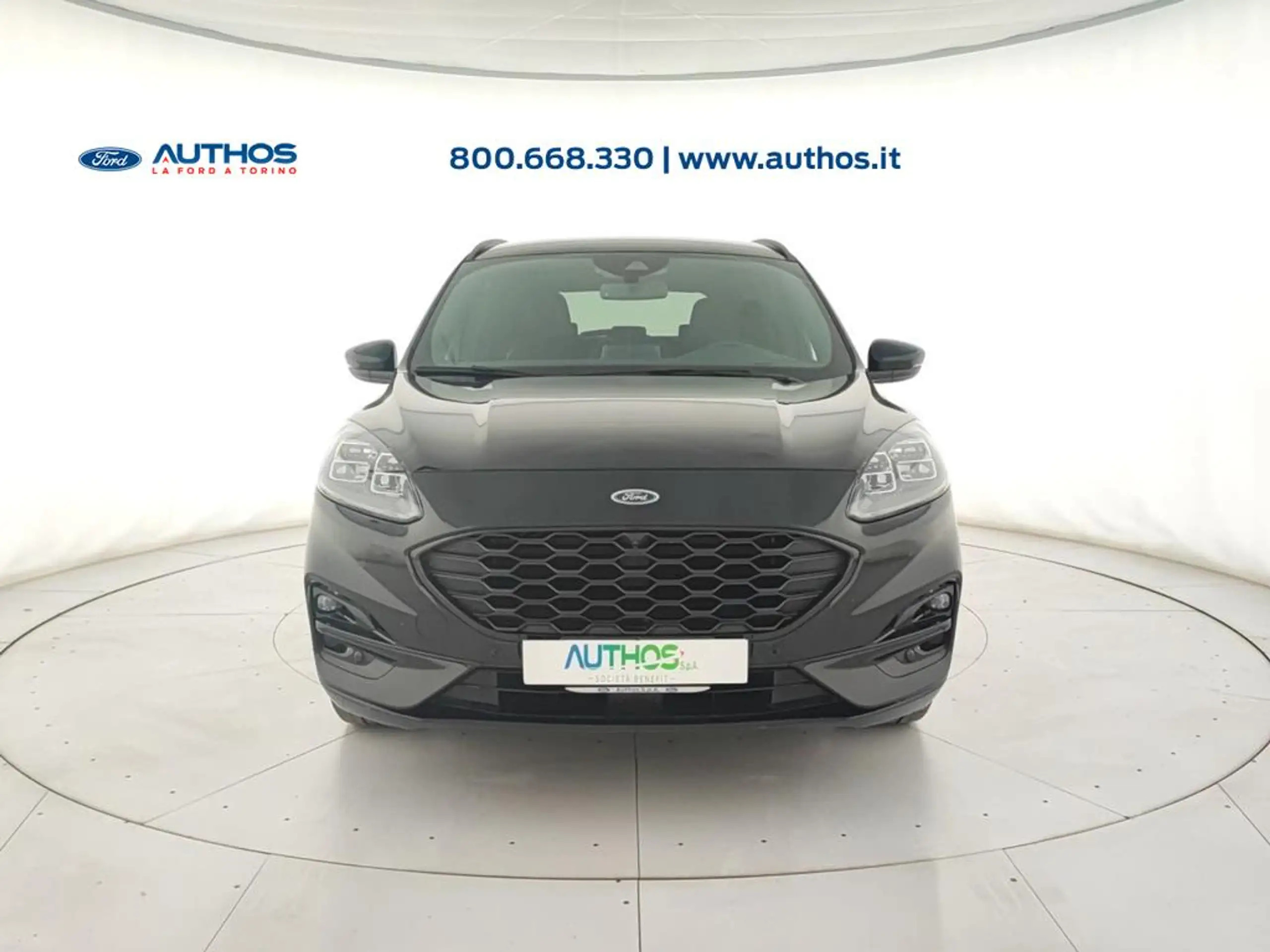 Ford - Kuga