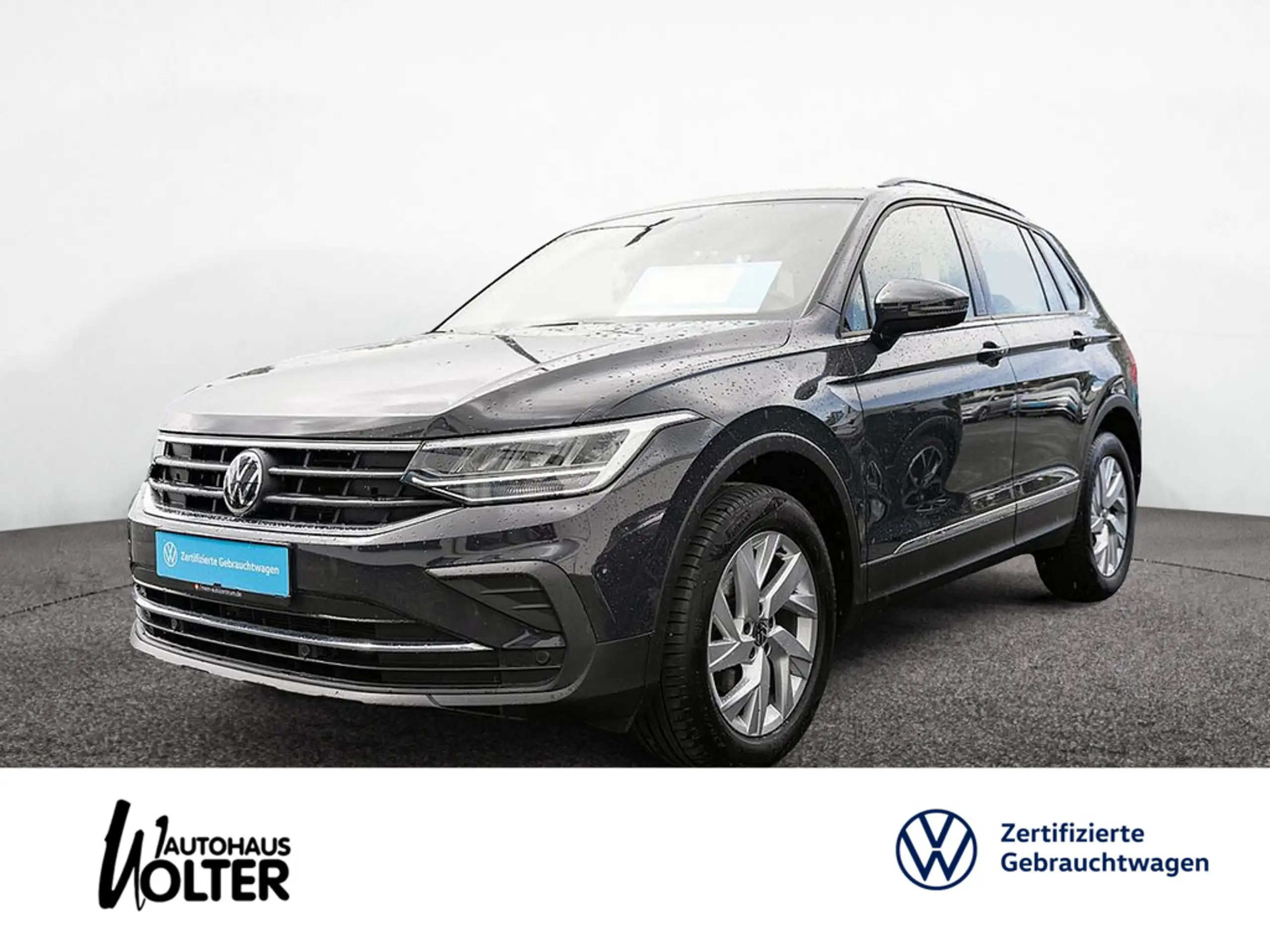 Volkswagen - Tiguan