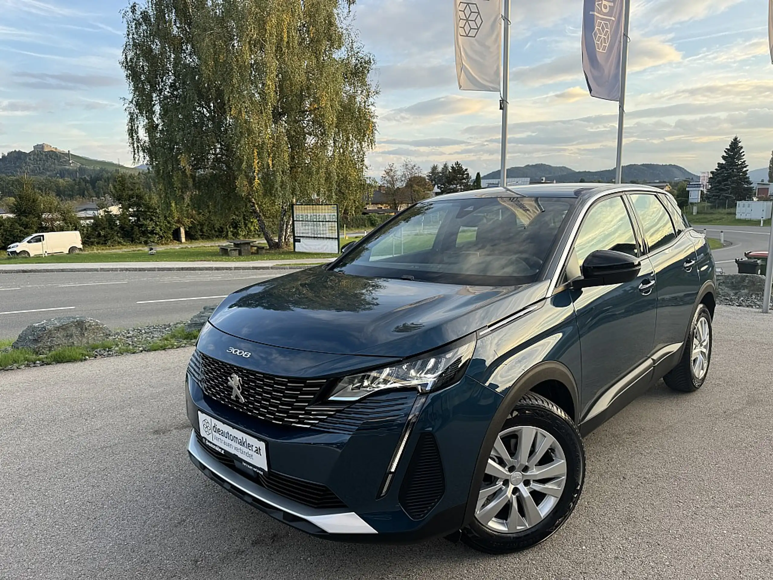 Peugeot - 3008