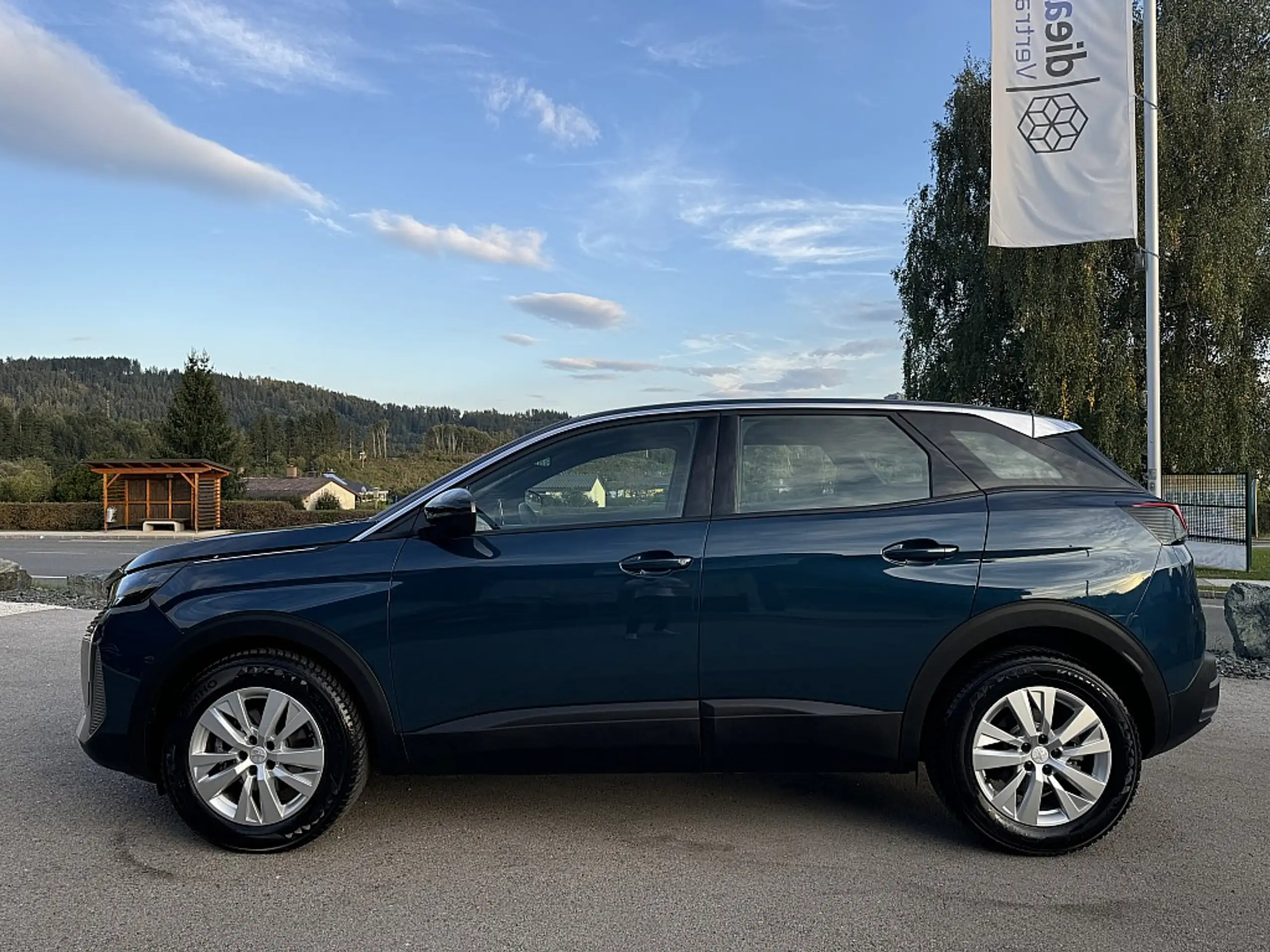 Peugeot - 3008