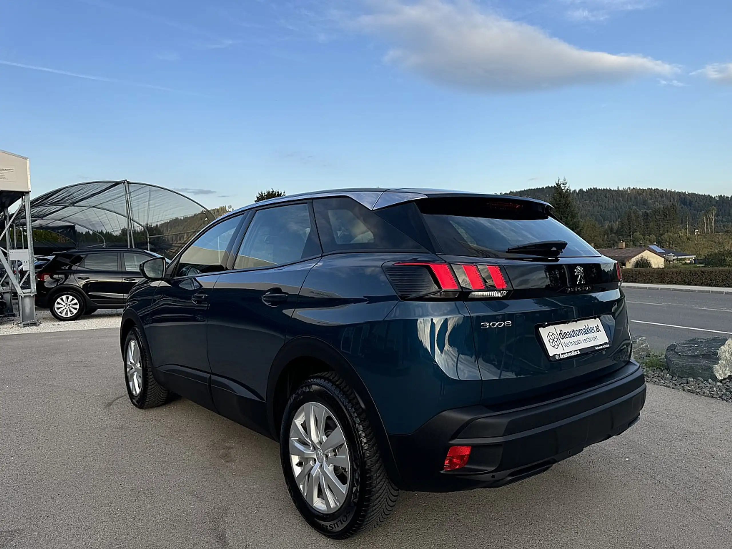 Peugeot - 3008