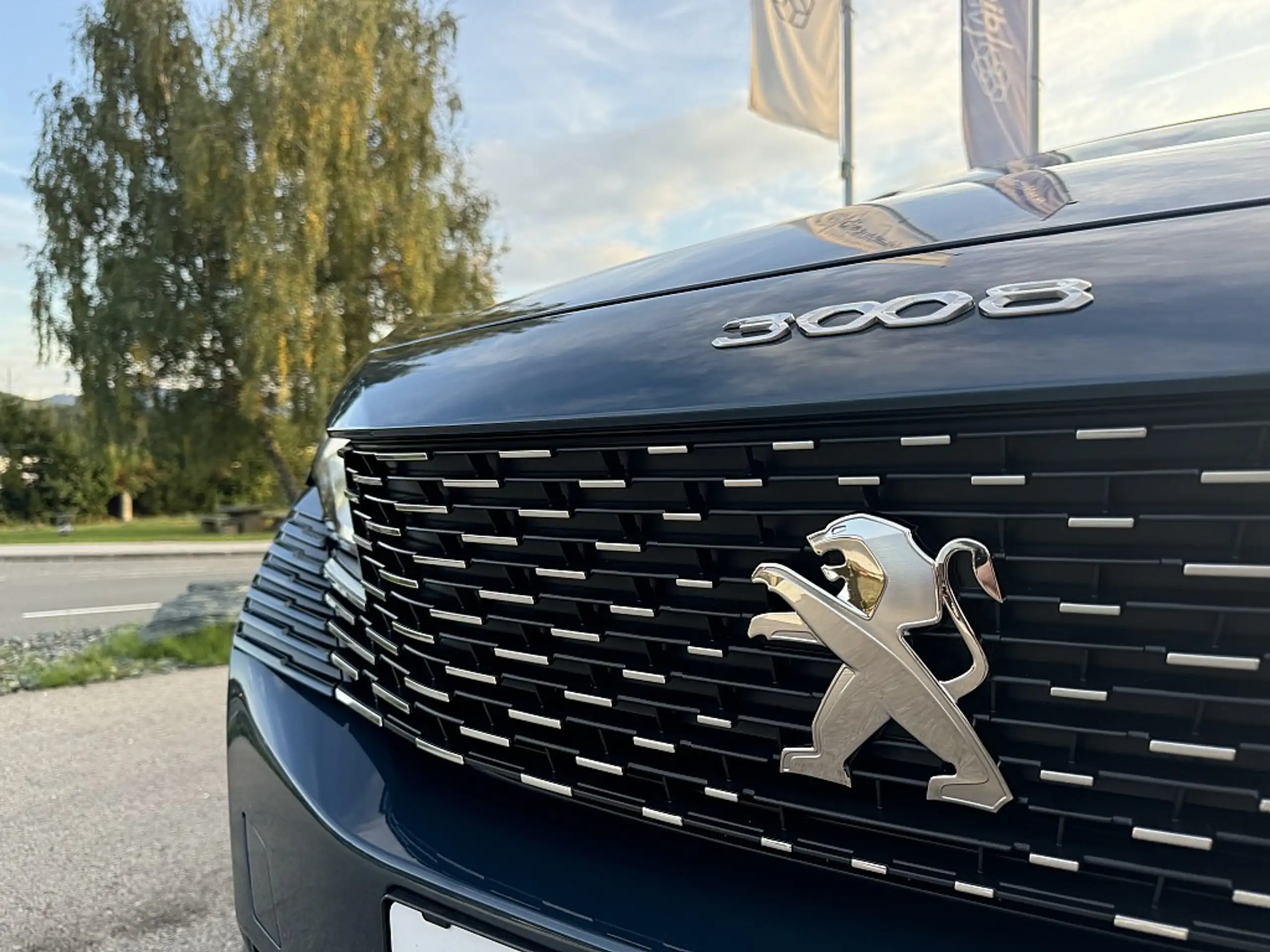 Peugeot - 3008