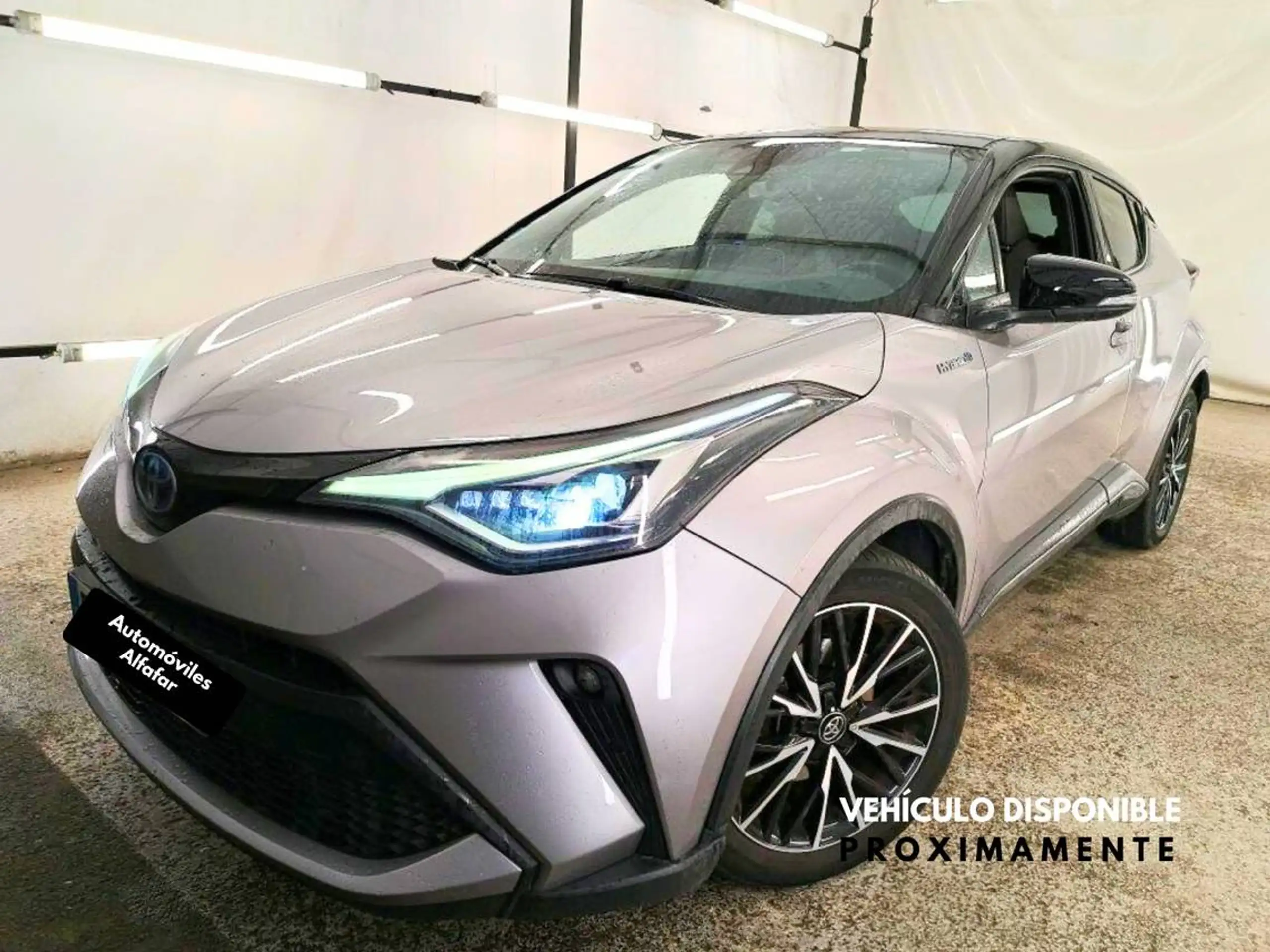 Toyota - C-HR