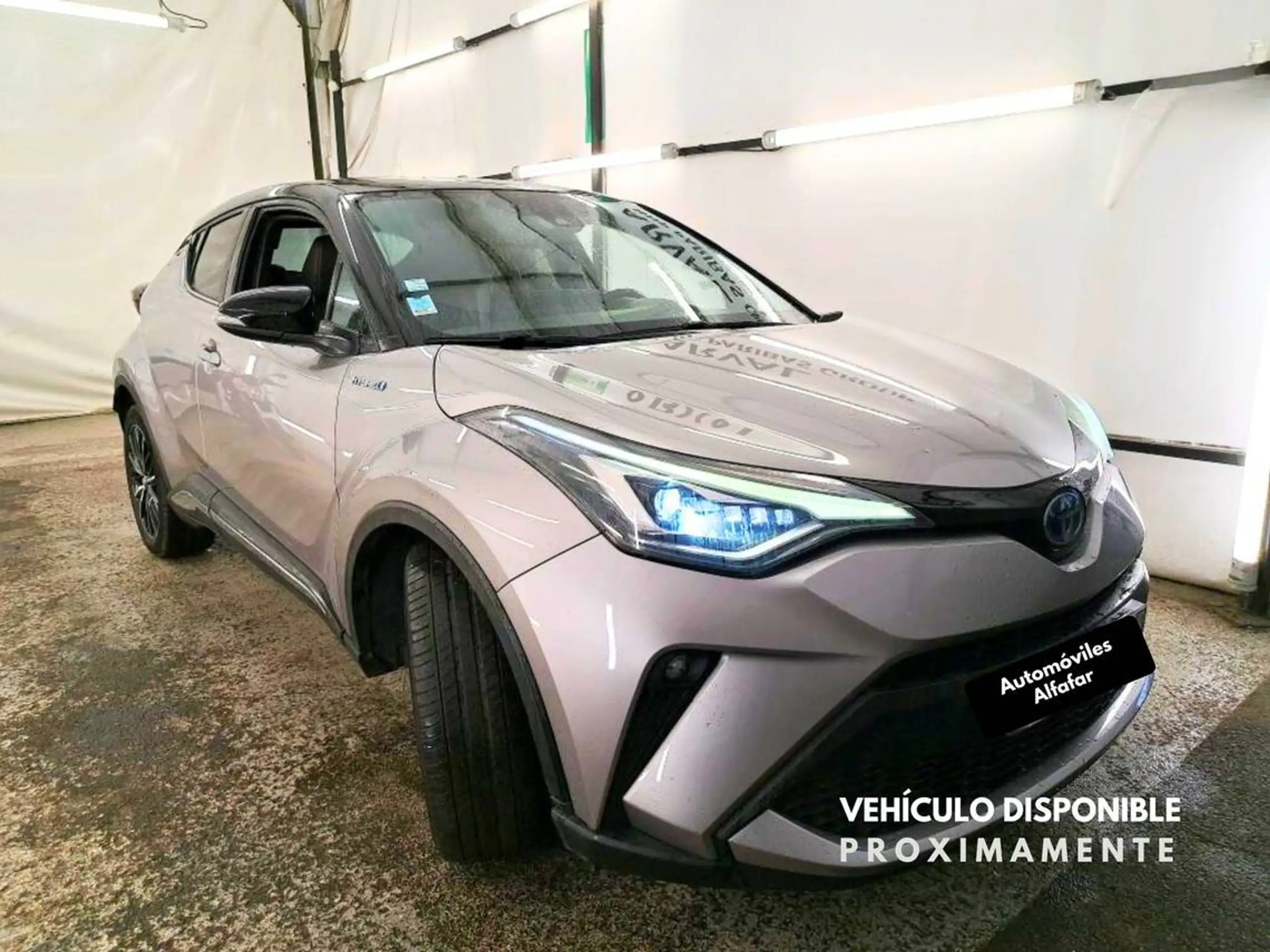 Toyota - C-HR