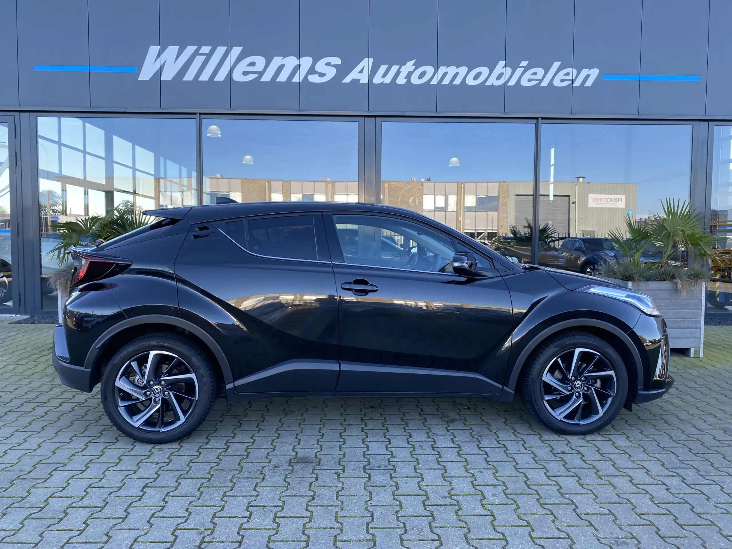 Toyota - C-HR