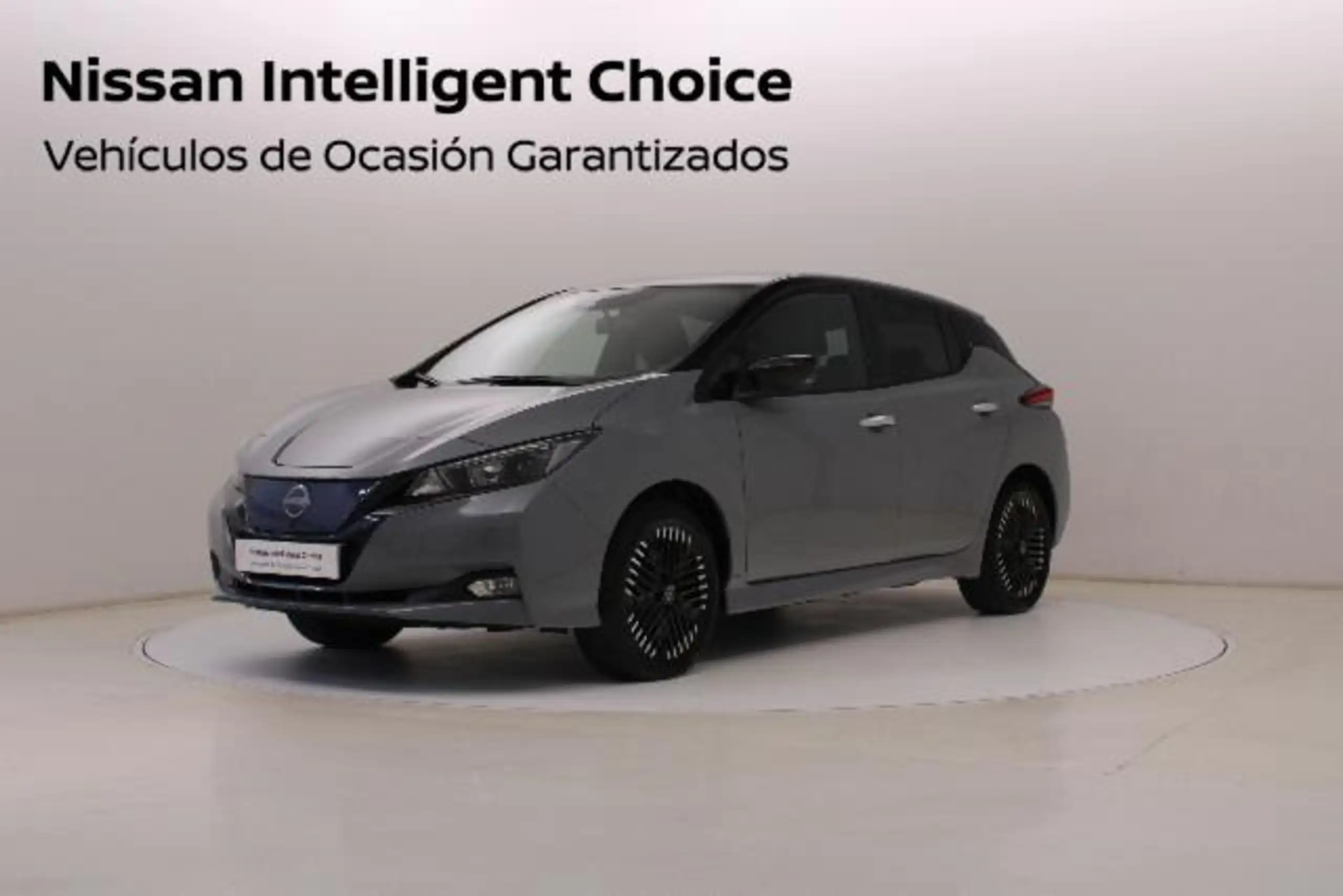 Nissan Leaf 2022