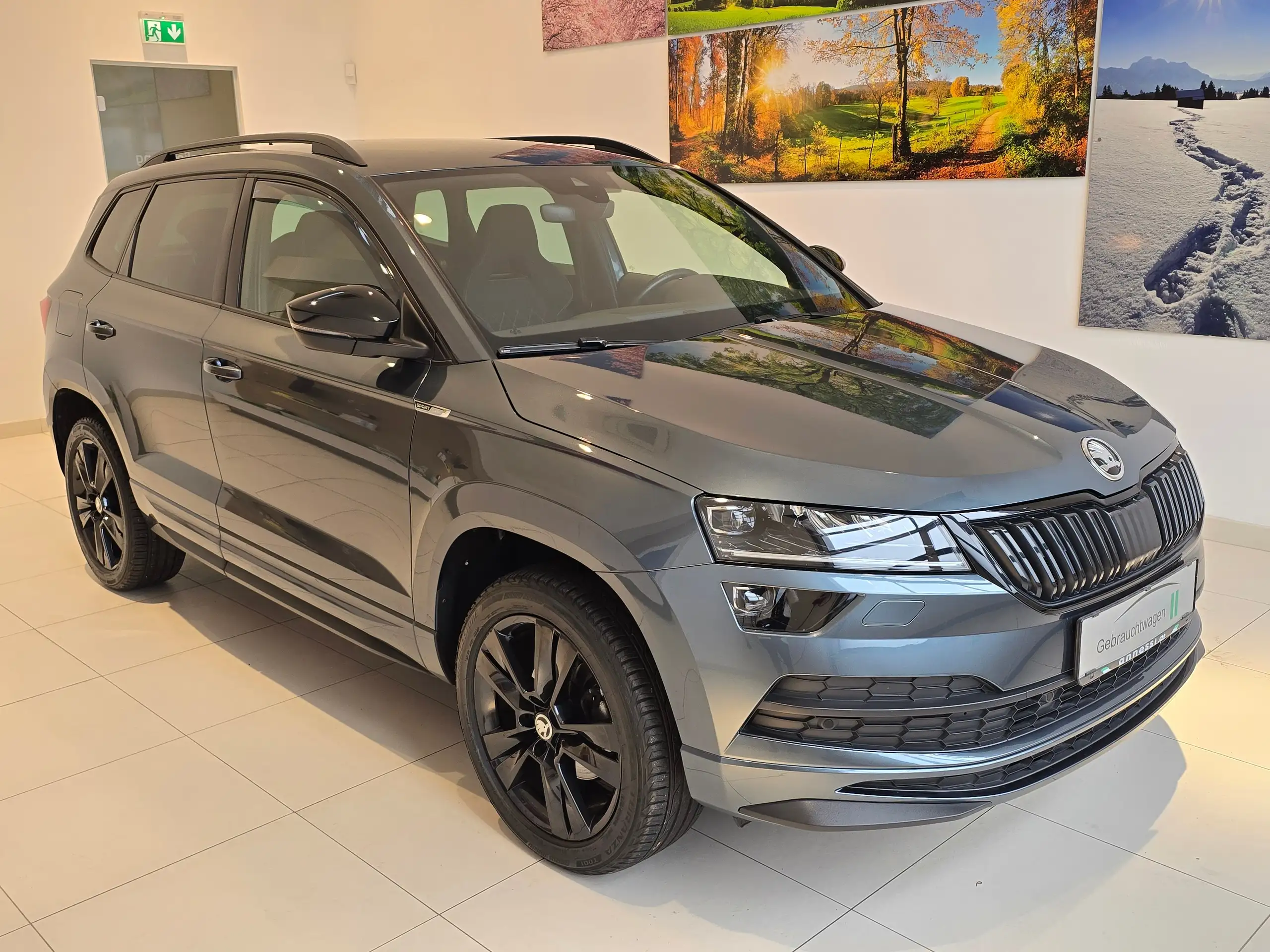 Skoda - Karoq