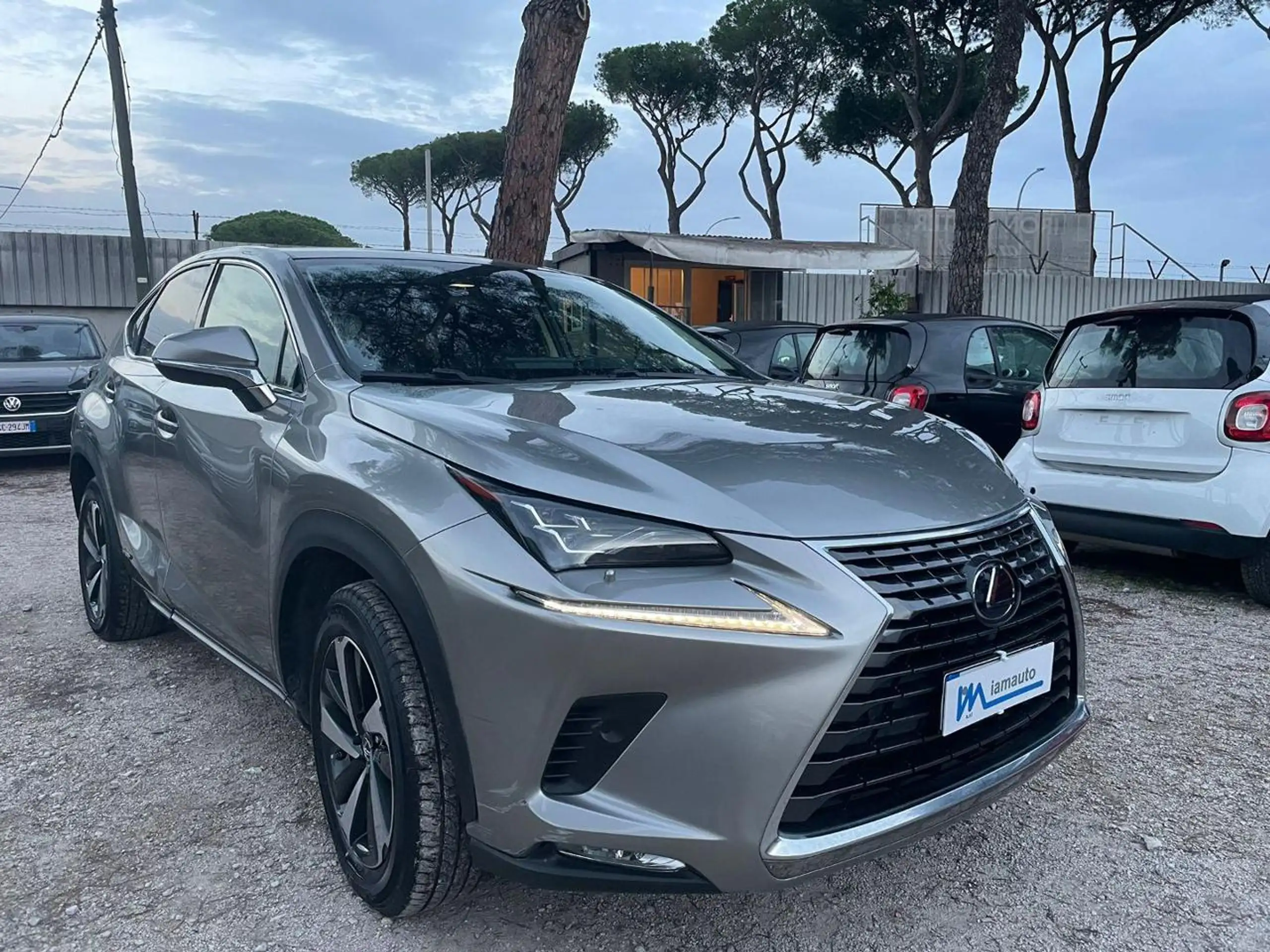 Lexus - NX 300h