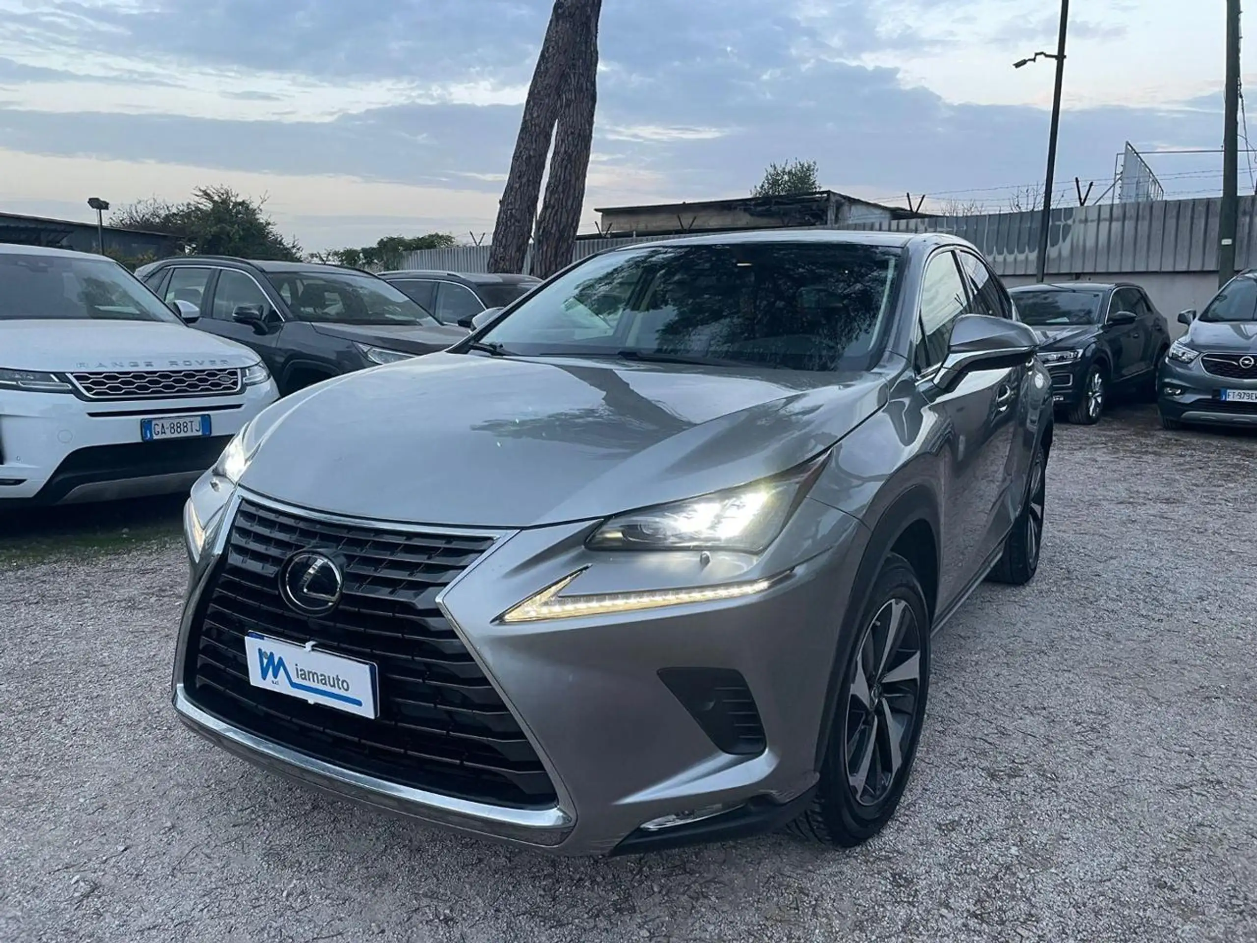 Lexus - NX 300h