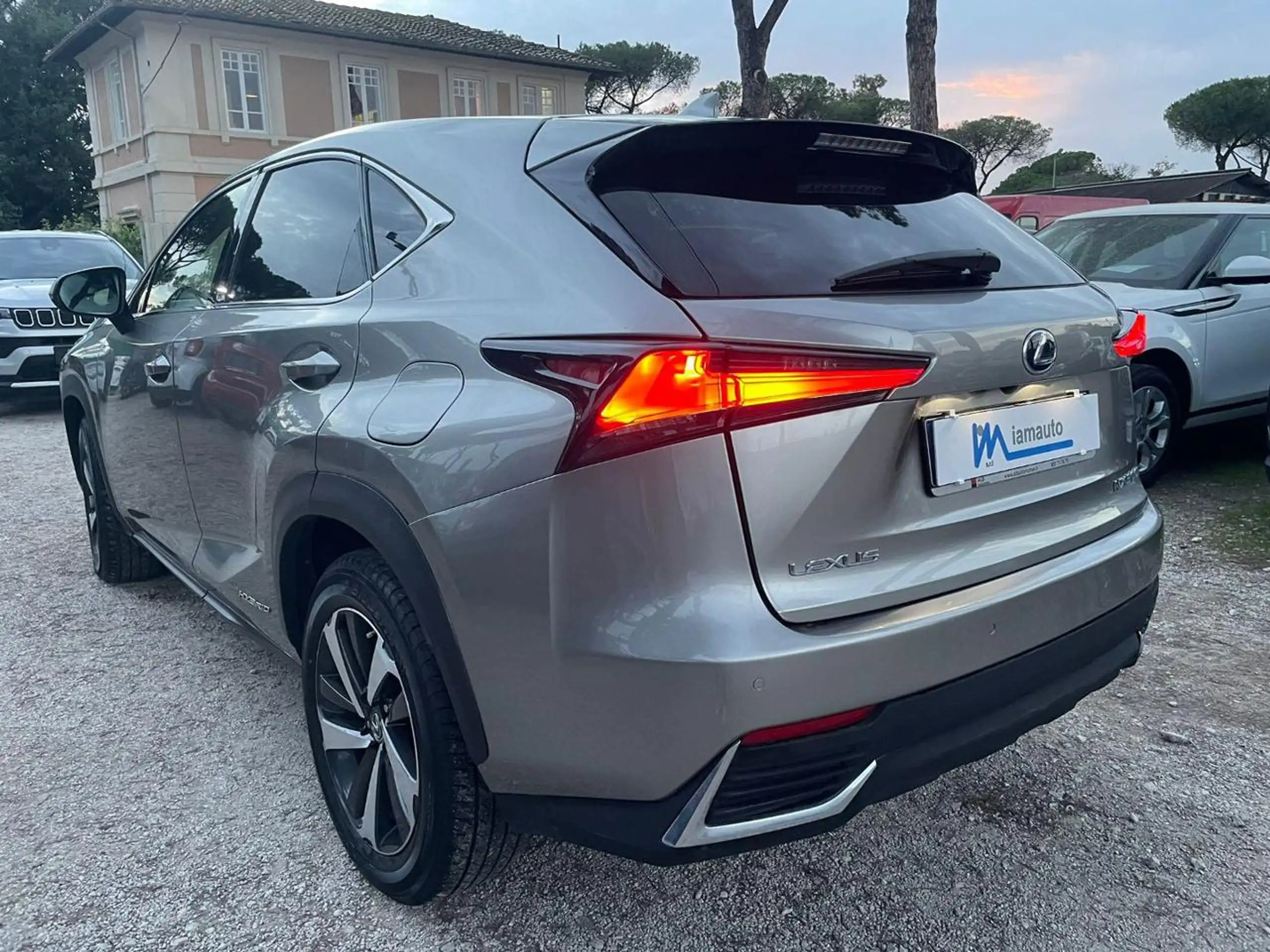 Lexus - NX 300h