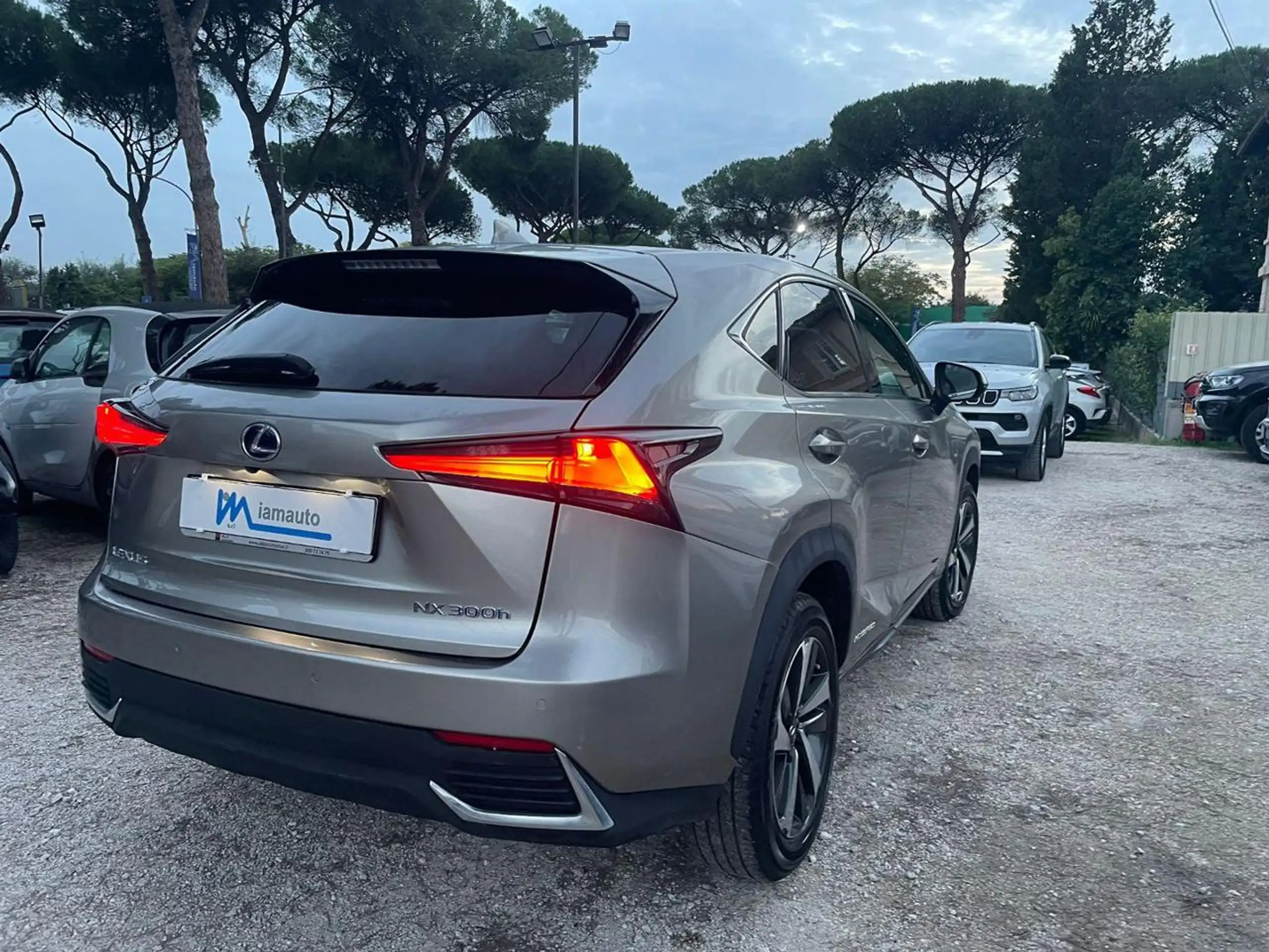 Lexus - NX 300h