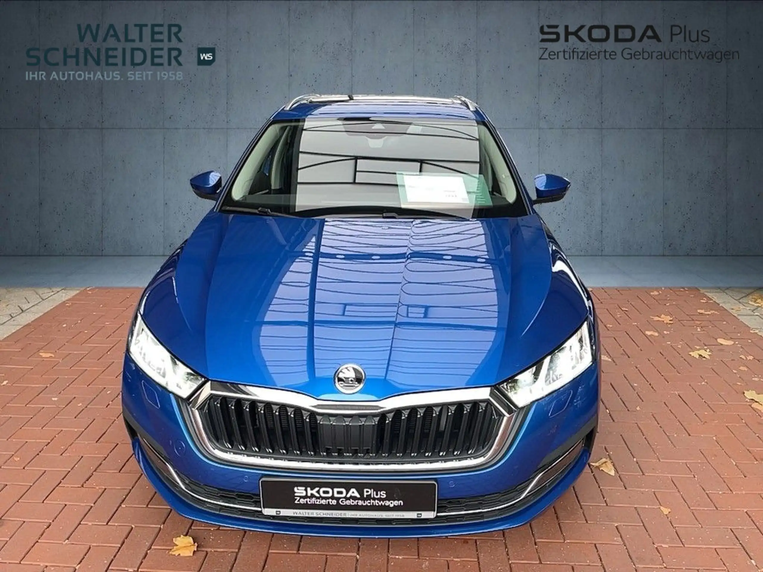 Skoda - Octavia