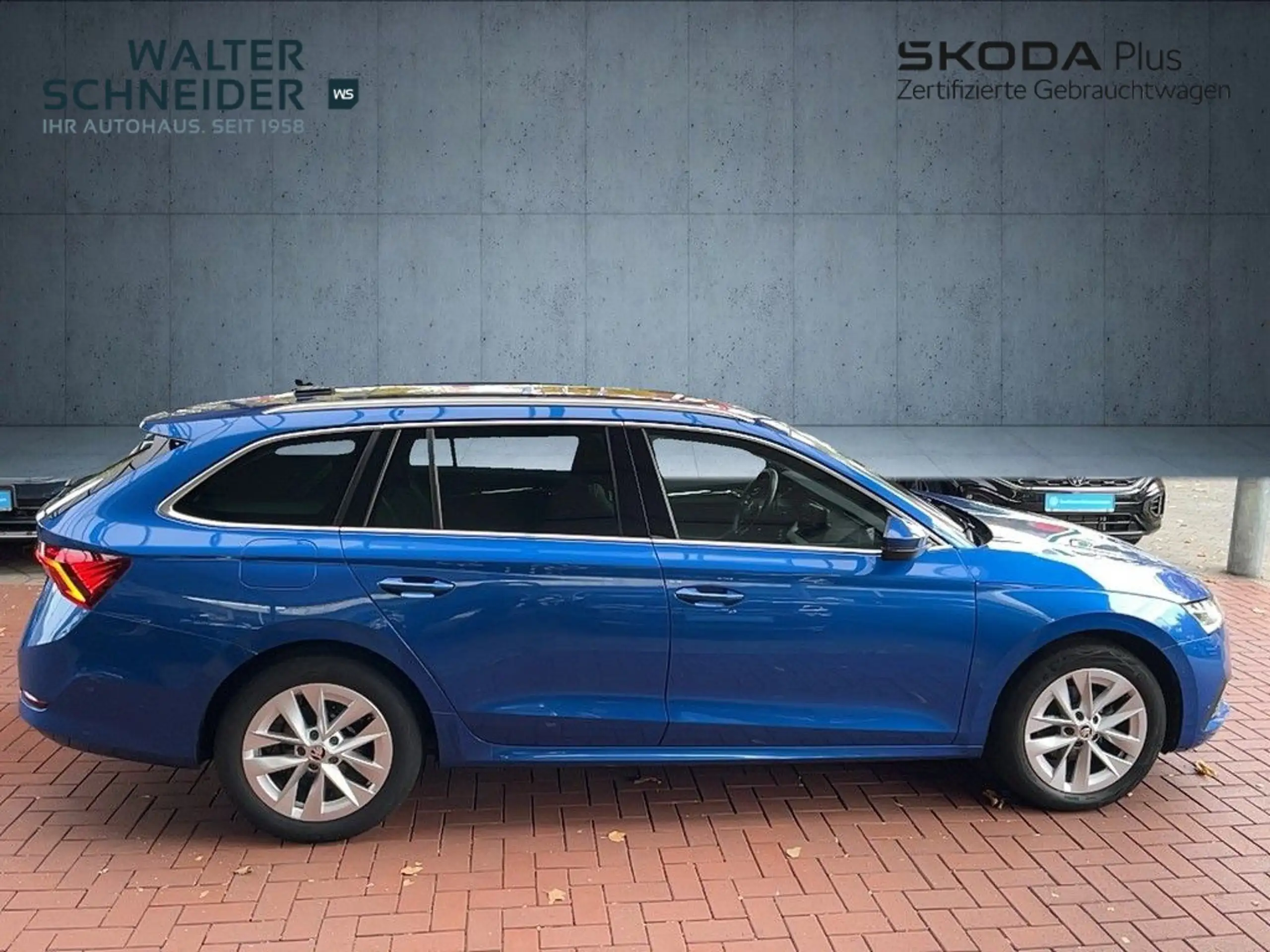 Skoda - Octavia